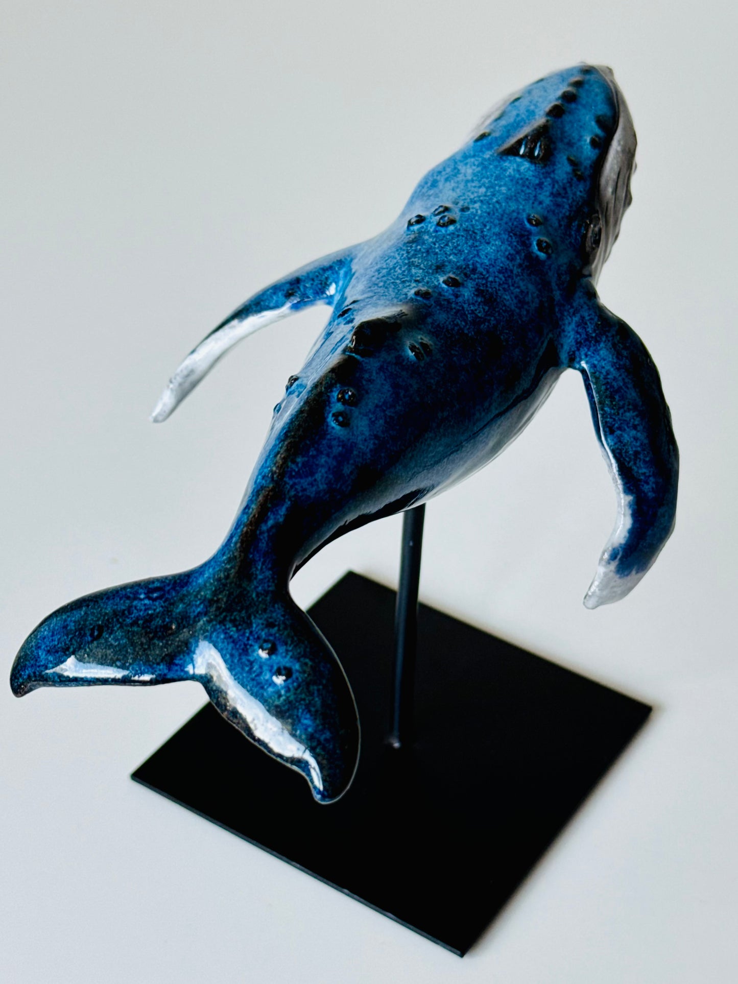 Baby Humpback Whale