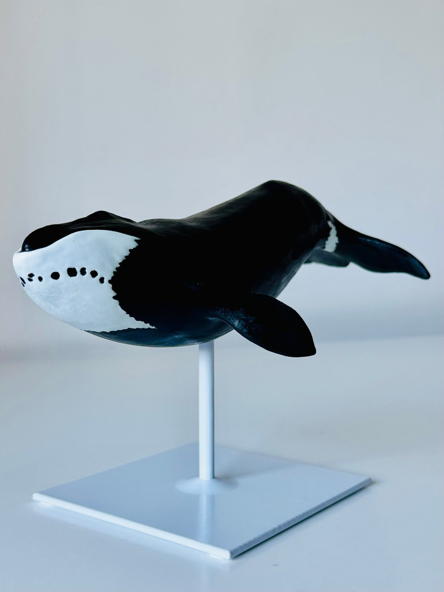 Bowhead Whale