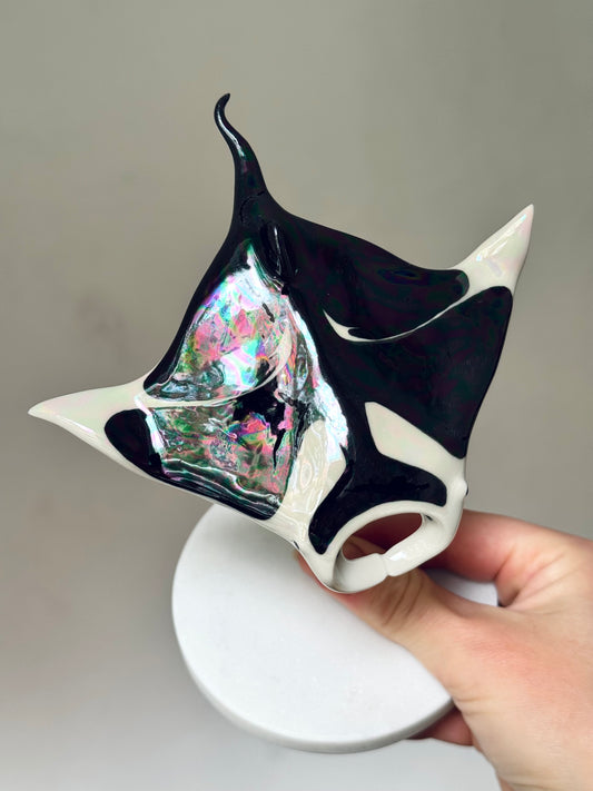 Manta Ray