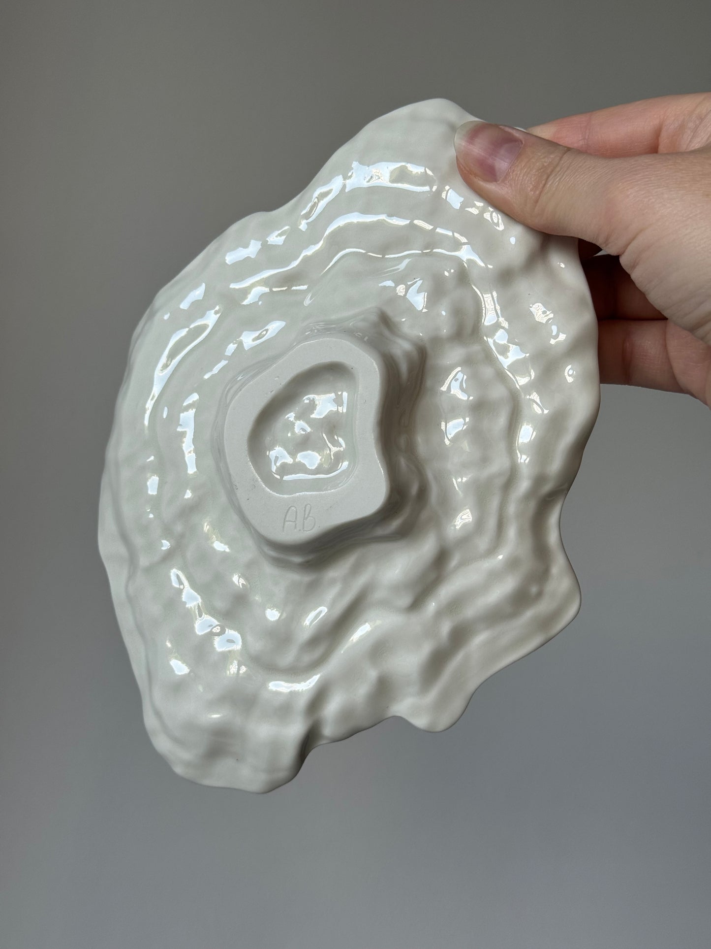 Shell-shaped plate