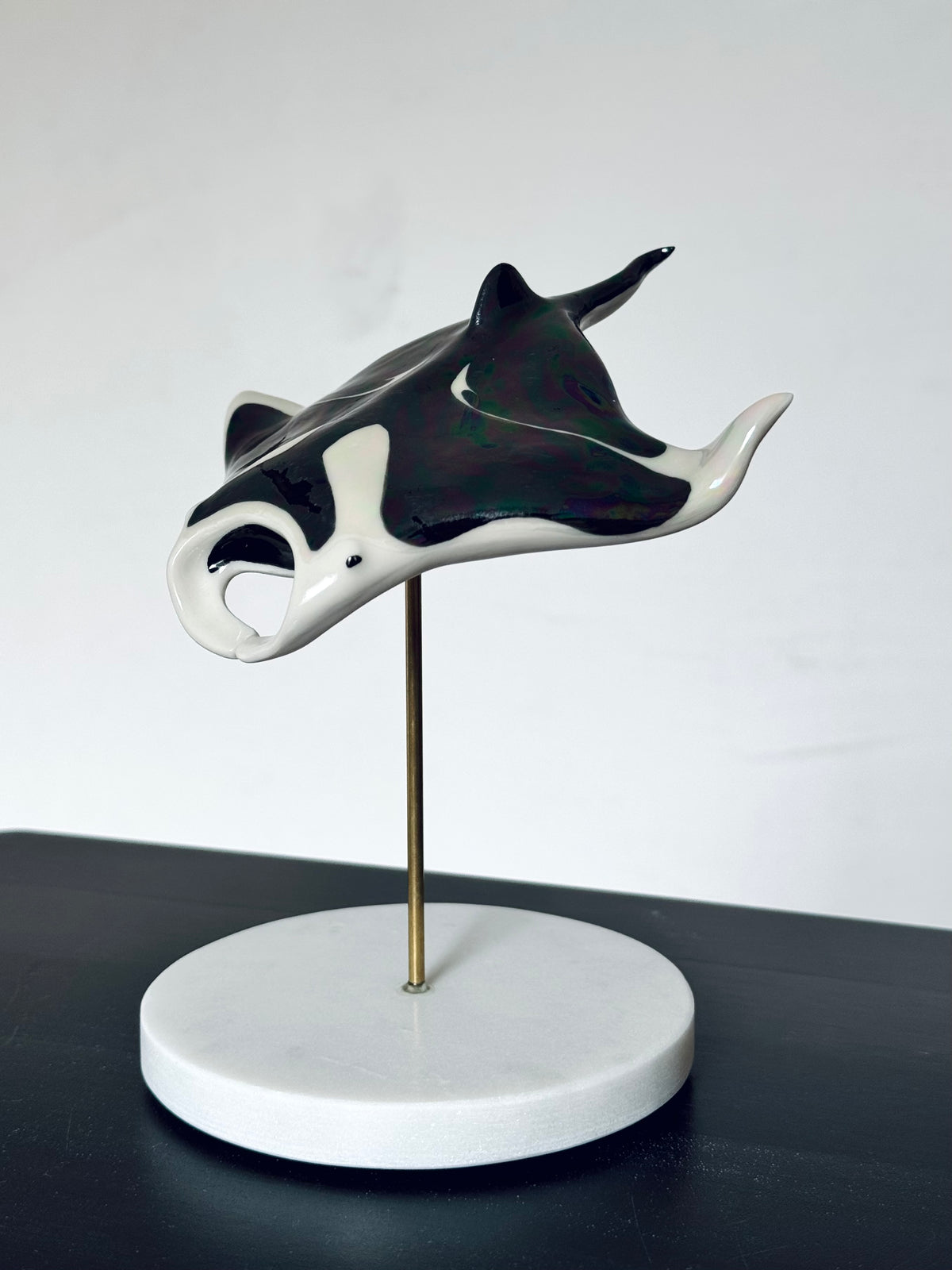 Manta Ray