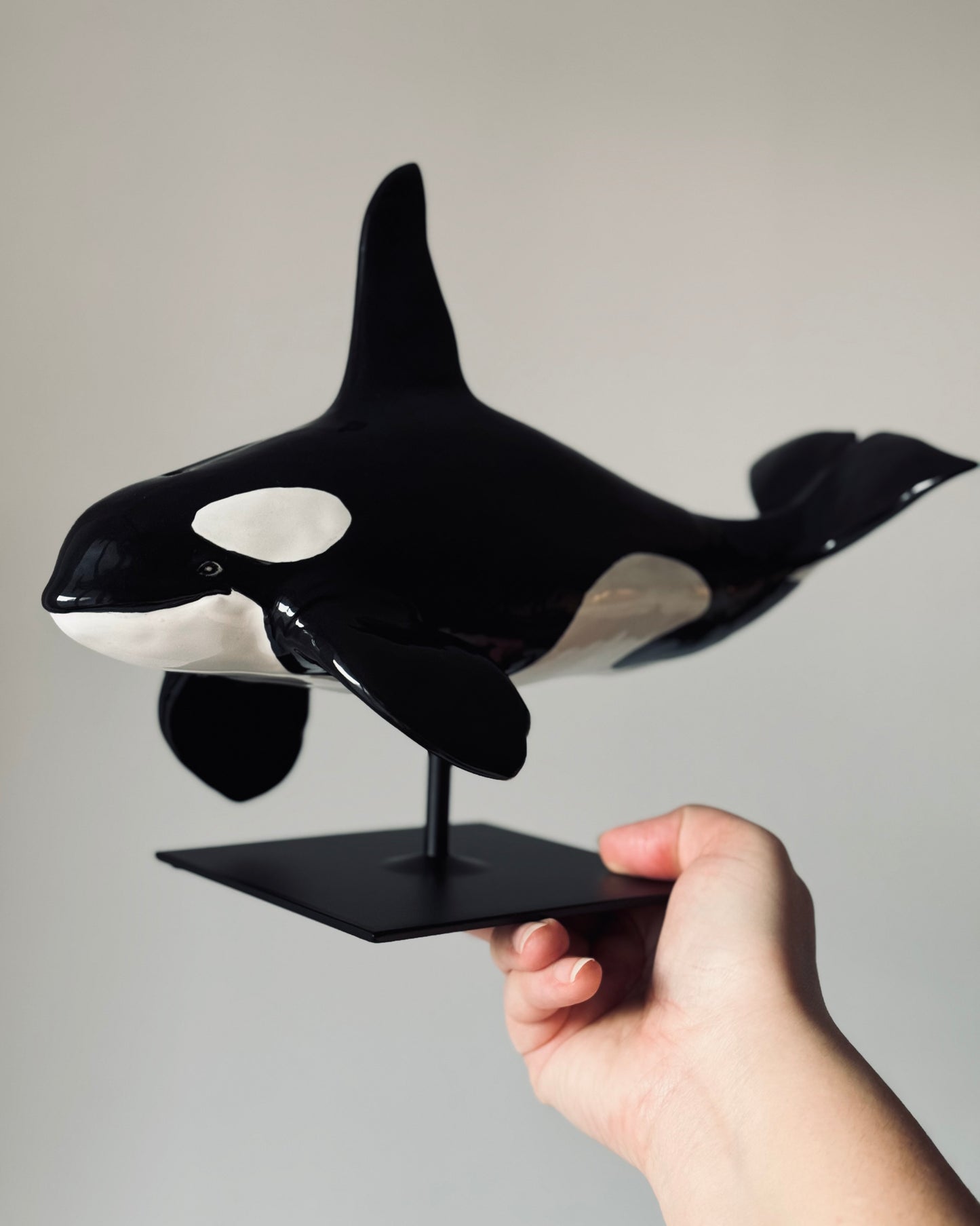 Male Orca on a stand