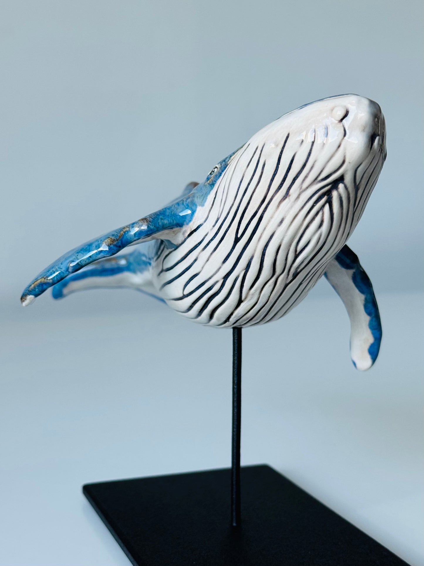 Baby Humpback Whale