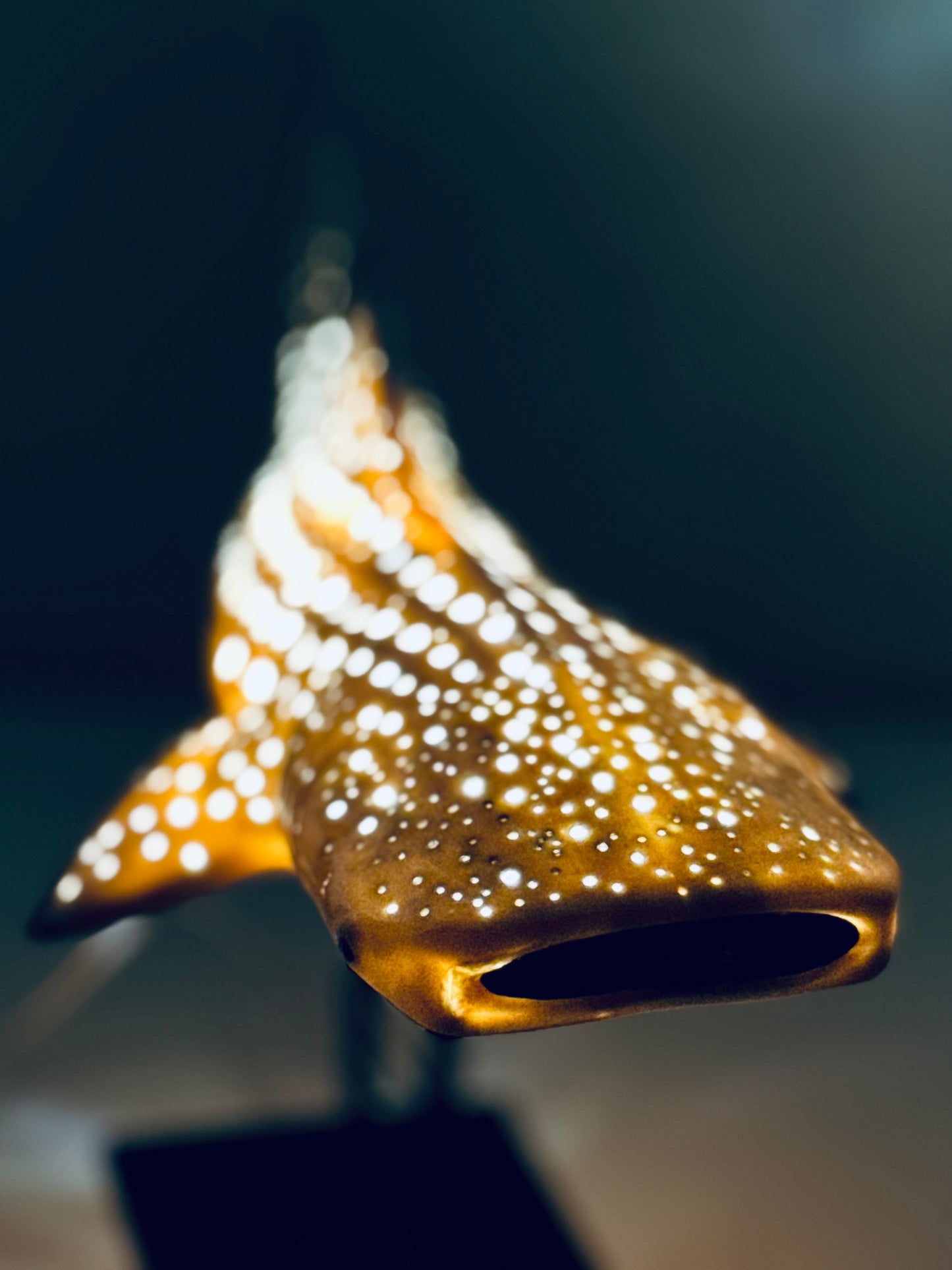 Shark Lamp