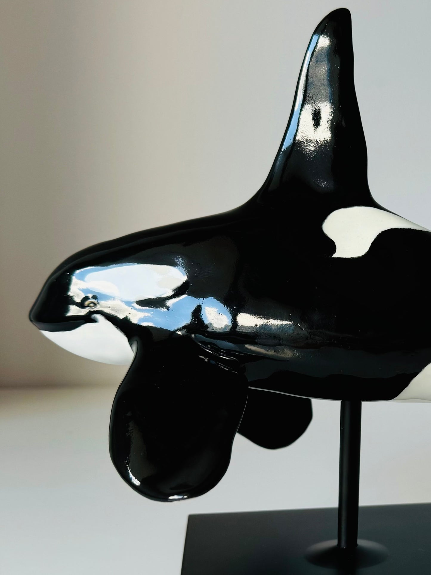 Male Orca on a stand