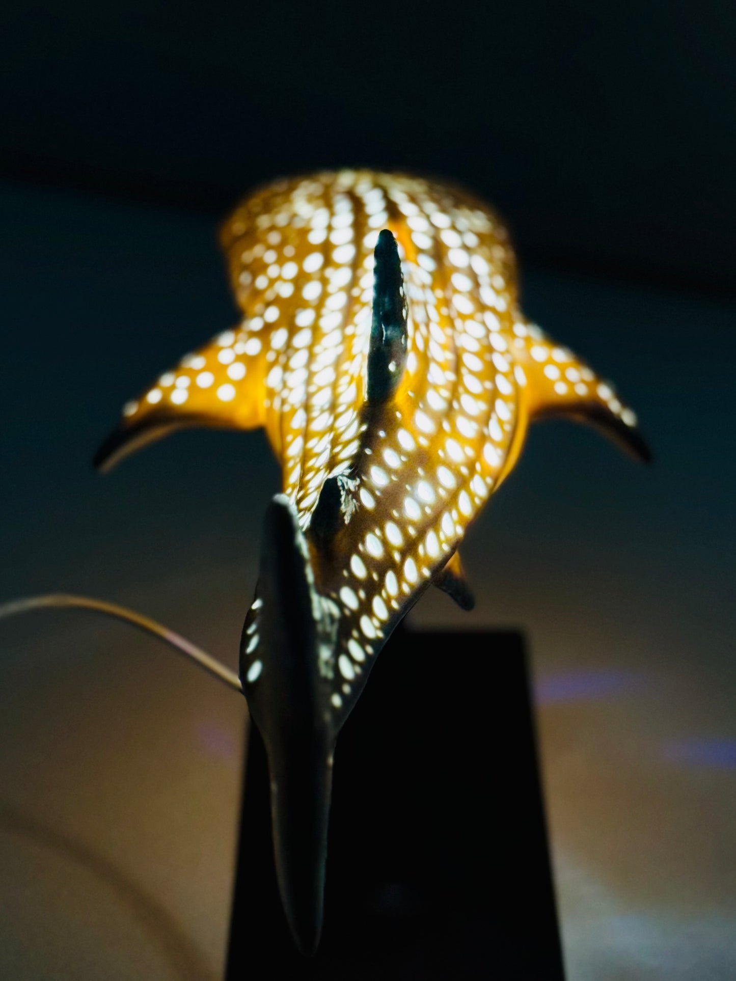 Shark Lamp
