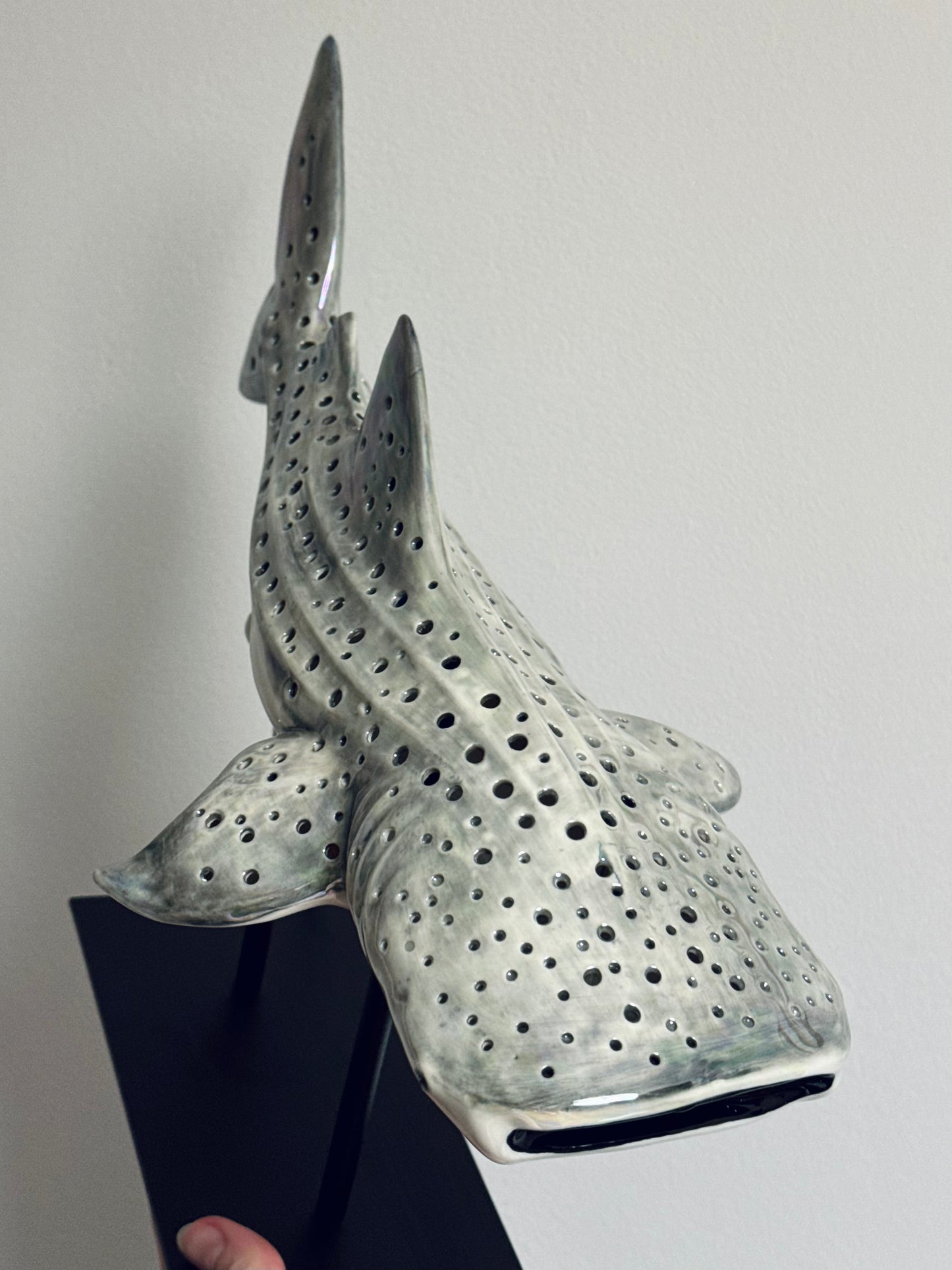 Shark Lamp