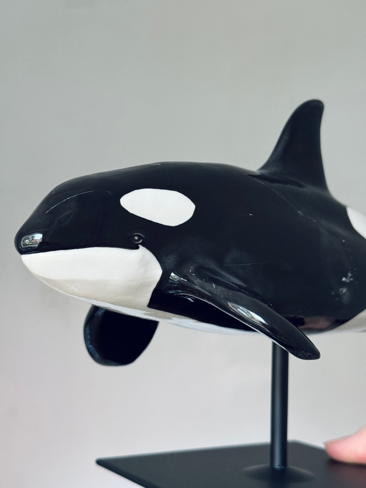 Orca on a stand