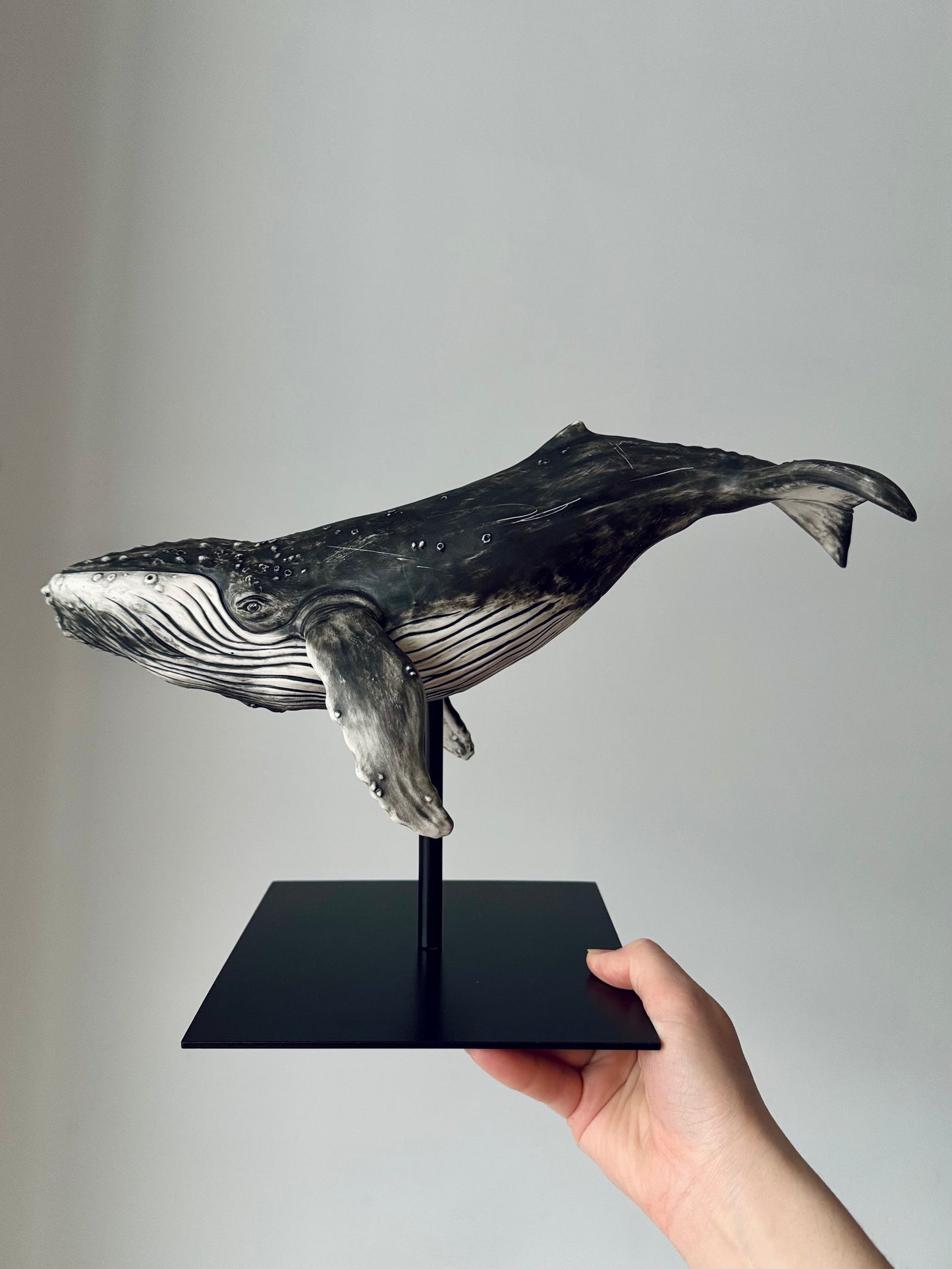 Big Humpback Whale