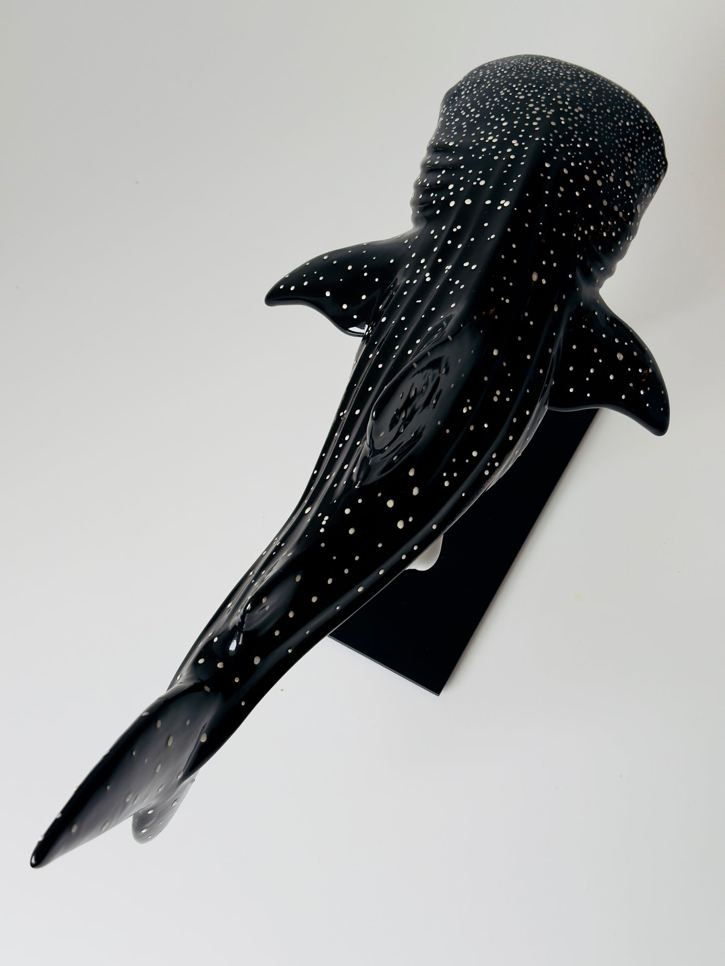 Whale Shark on a metal stand