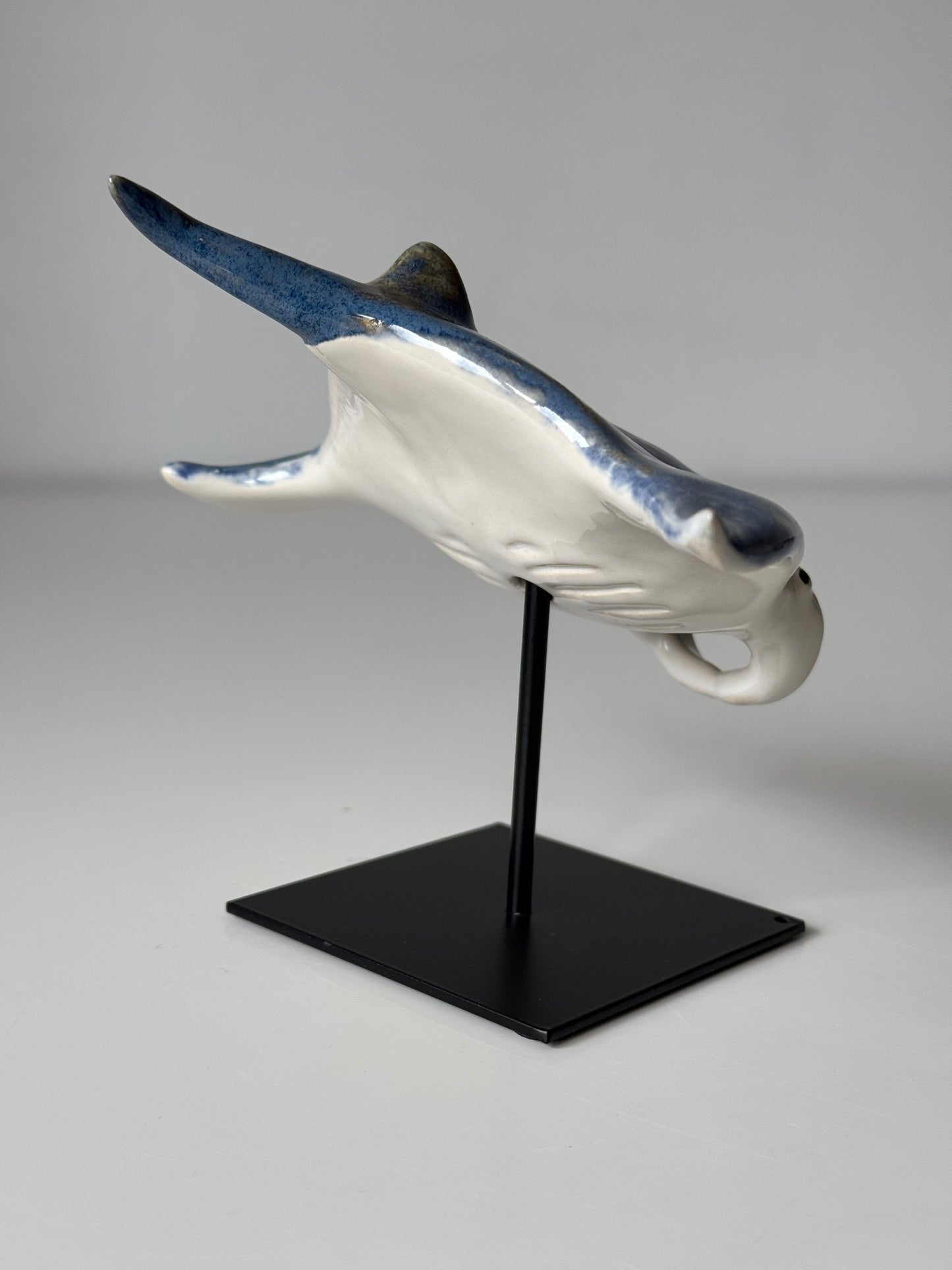 Manta Ray on a stand