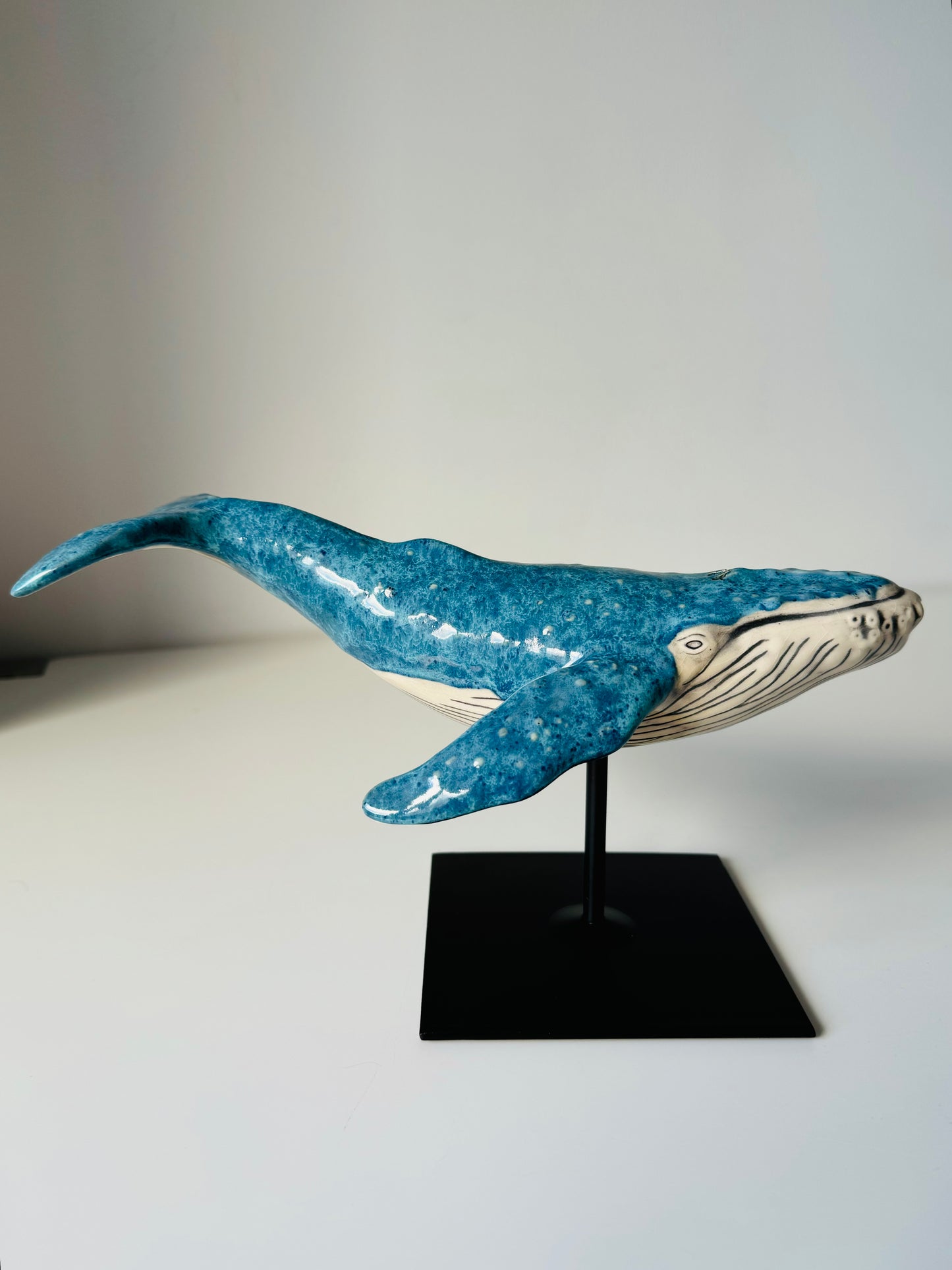 Humpback Whale on a stand