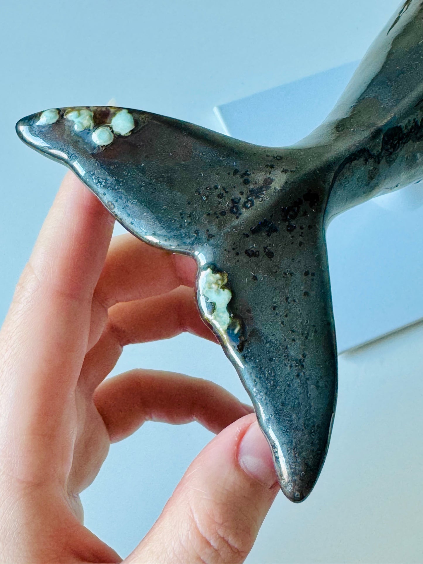 Right Whale