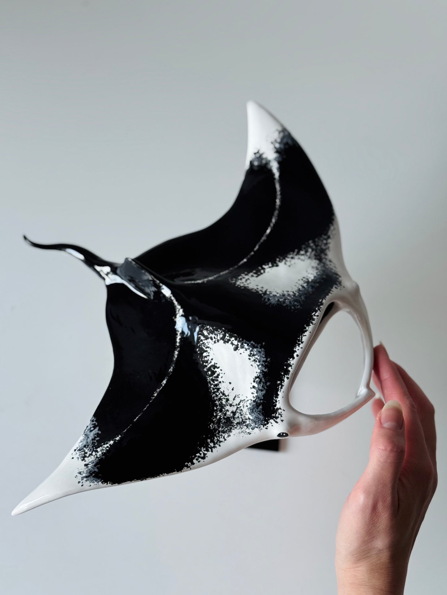 Big Manta Ray