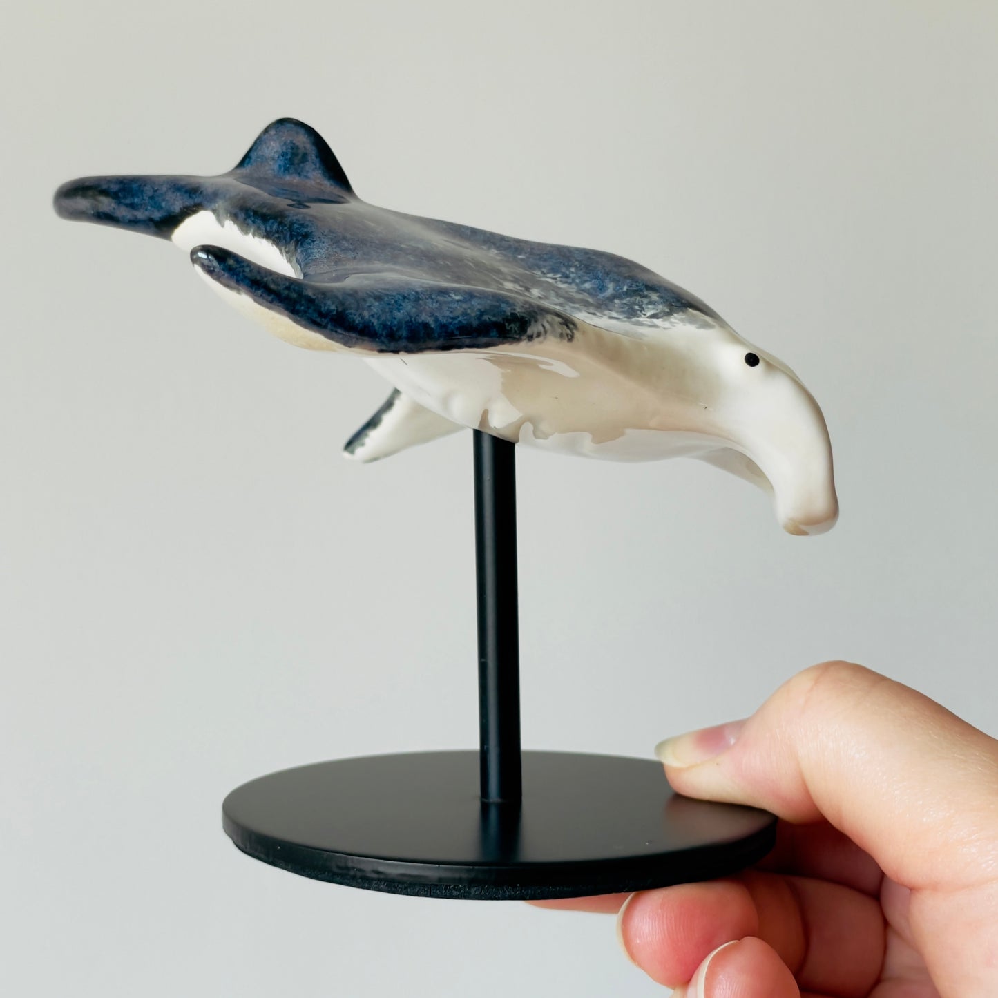 Manta Ray on a stand