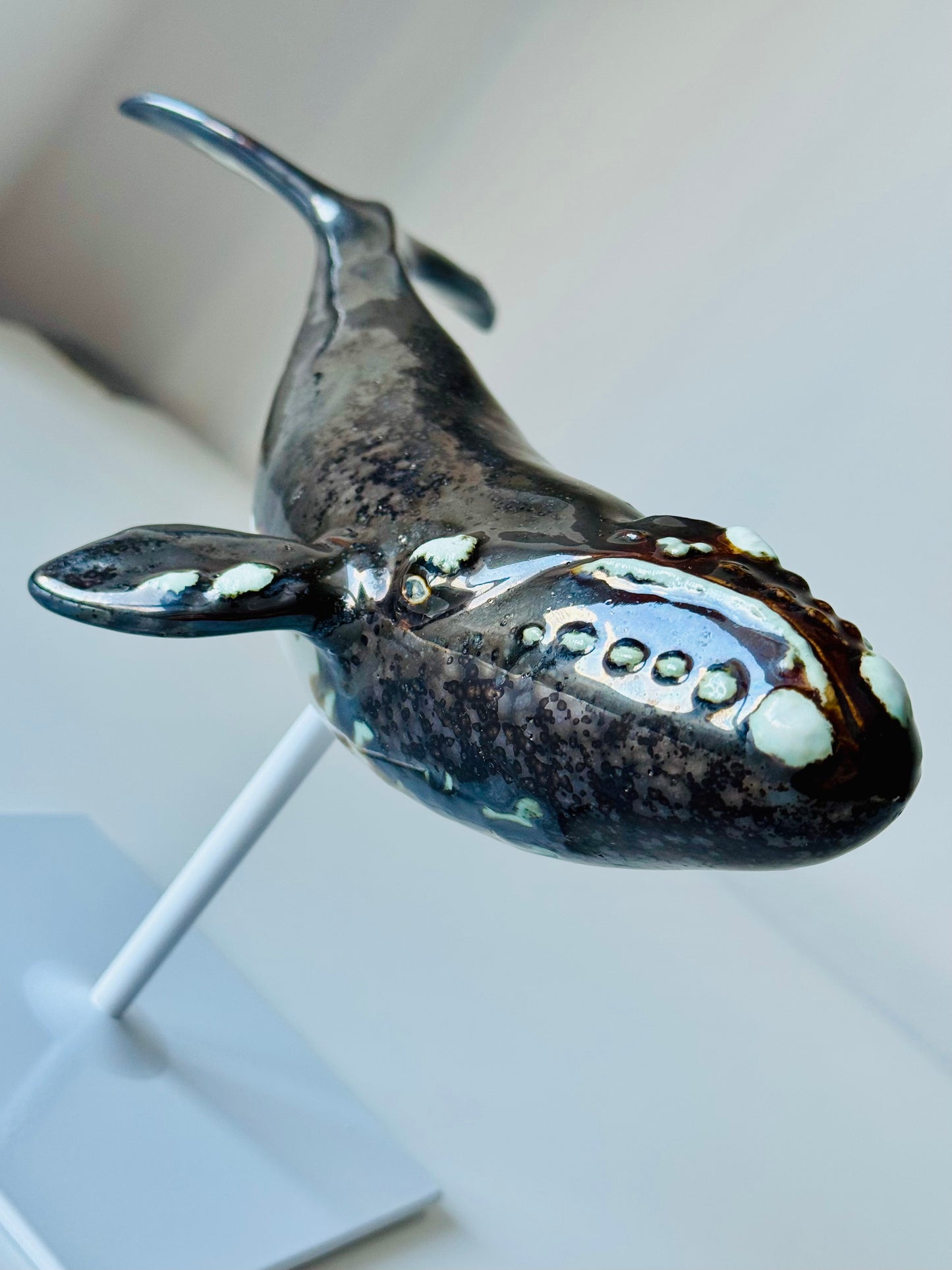 Right Whale