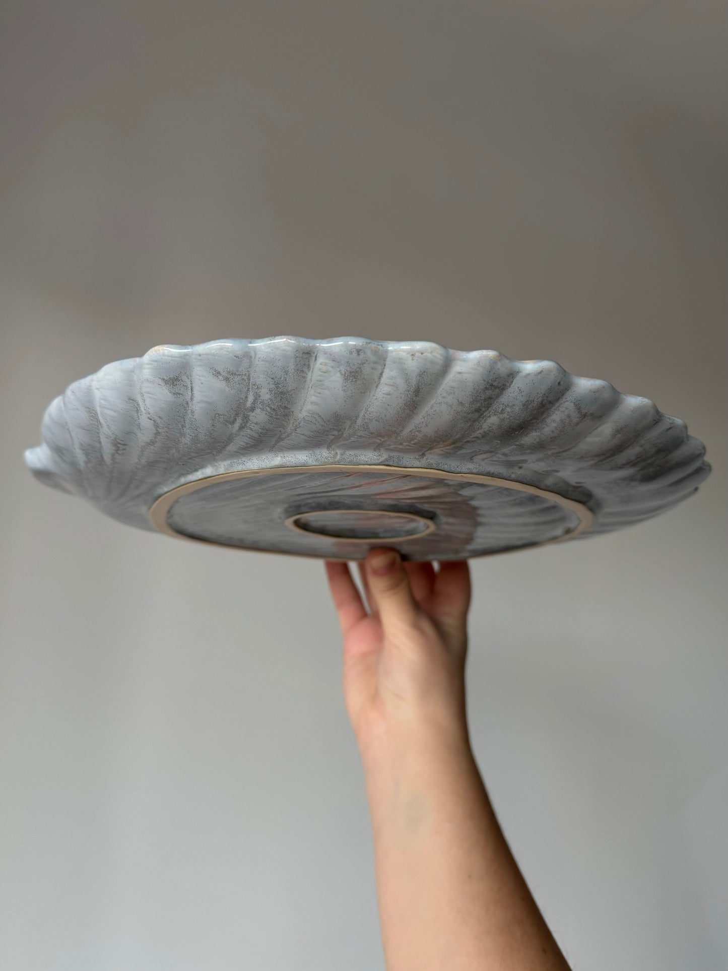 Shell-shaped plate