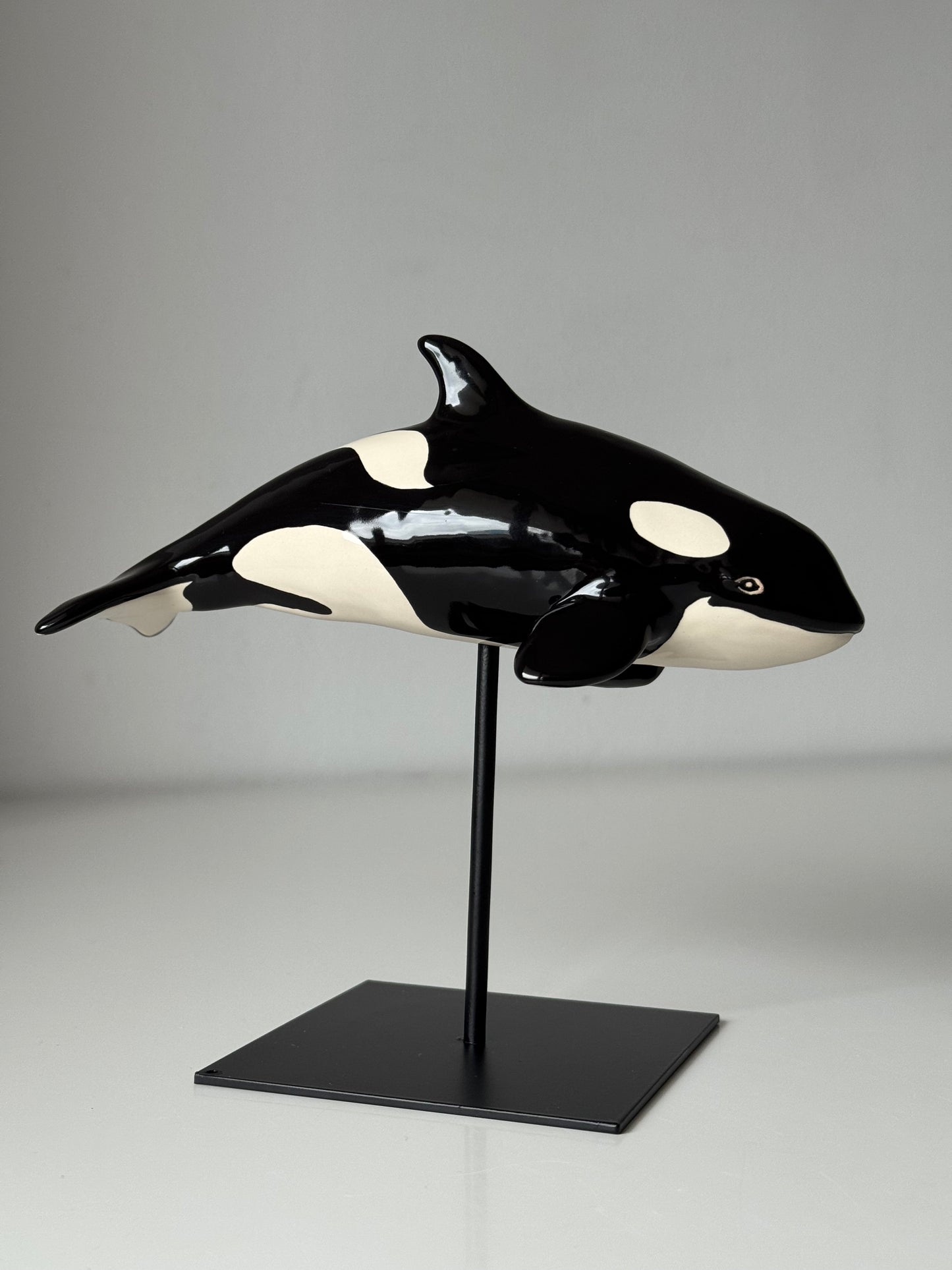 Baby Orca