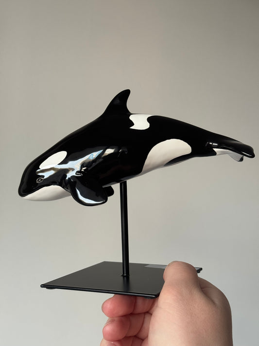 Baby Orca