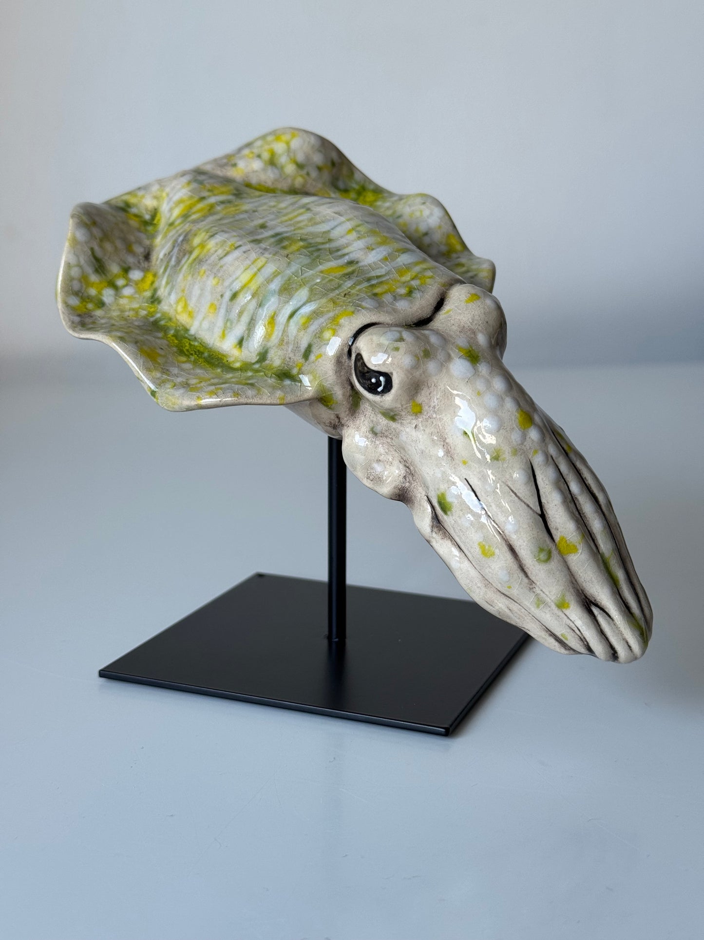 Cuttlefish