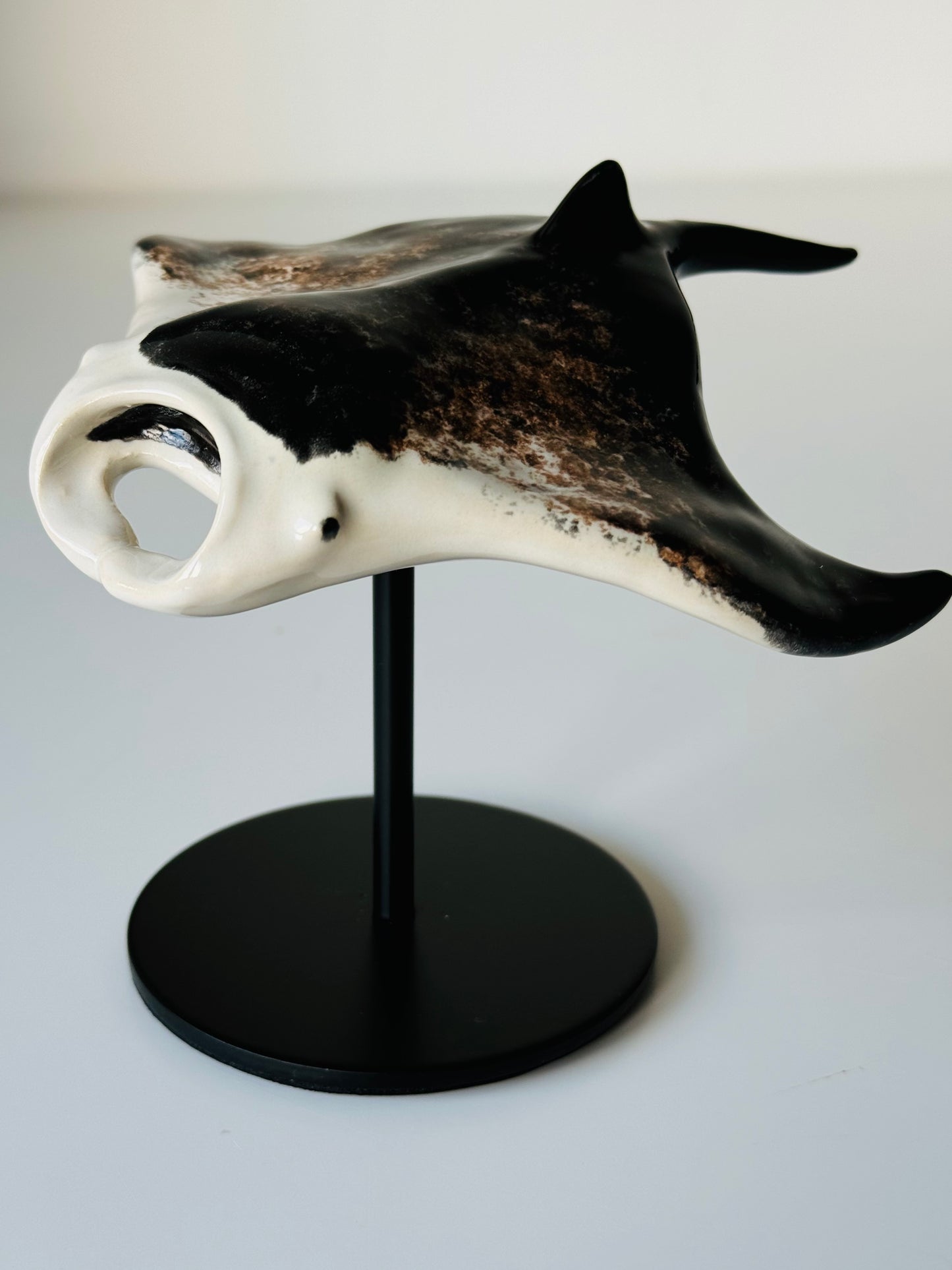 Manta Ray on a stand