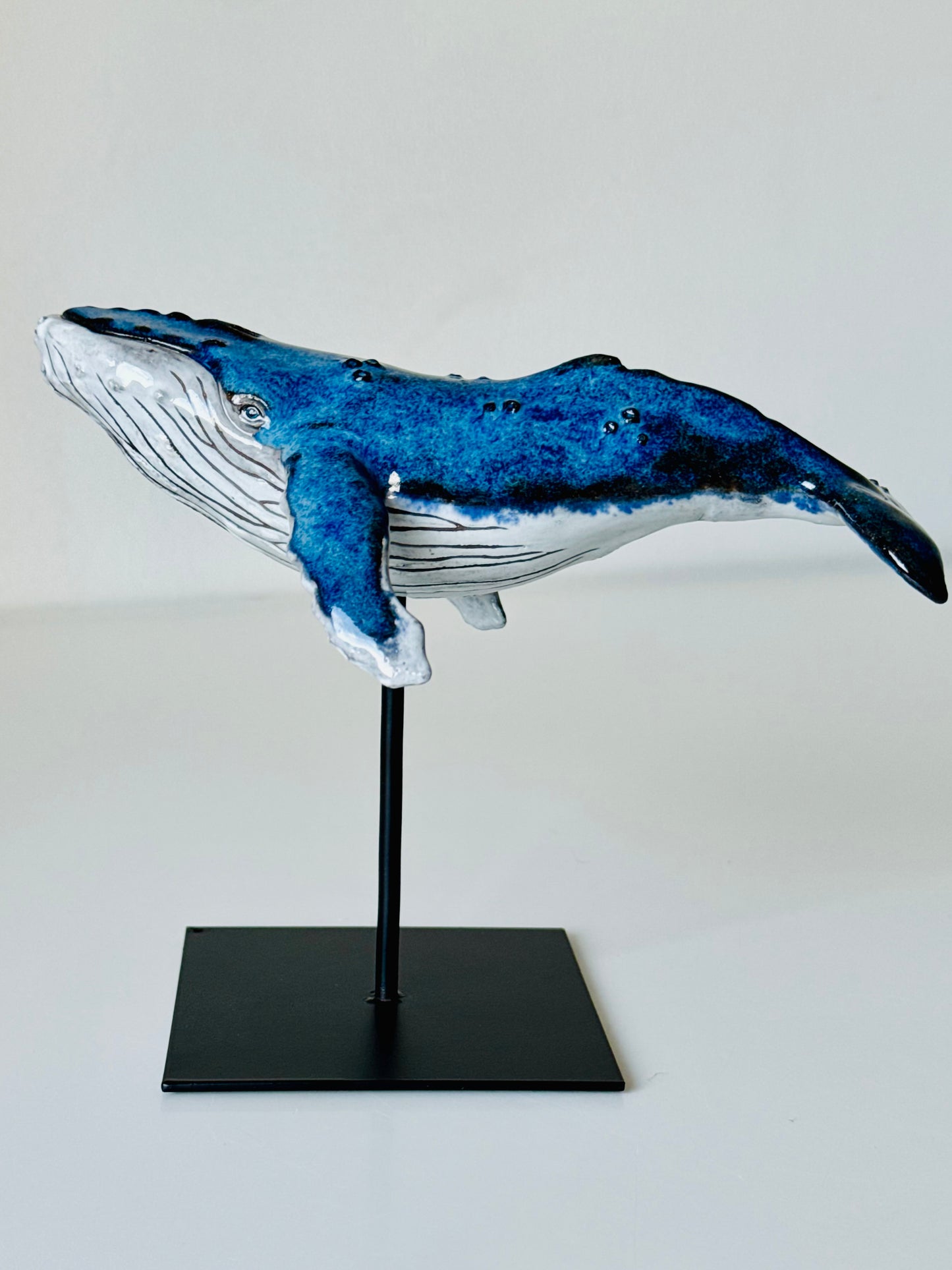 Baby Humpback Whale