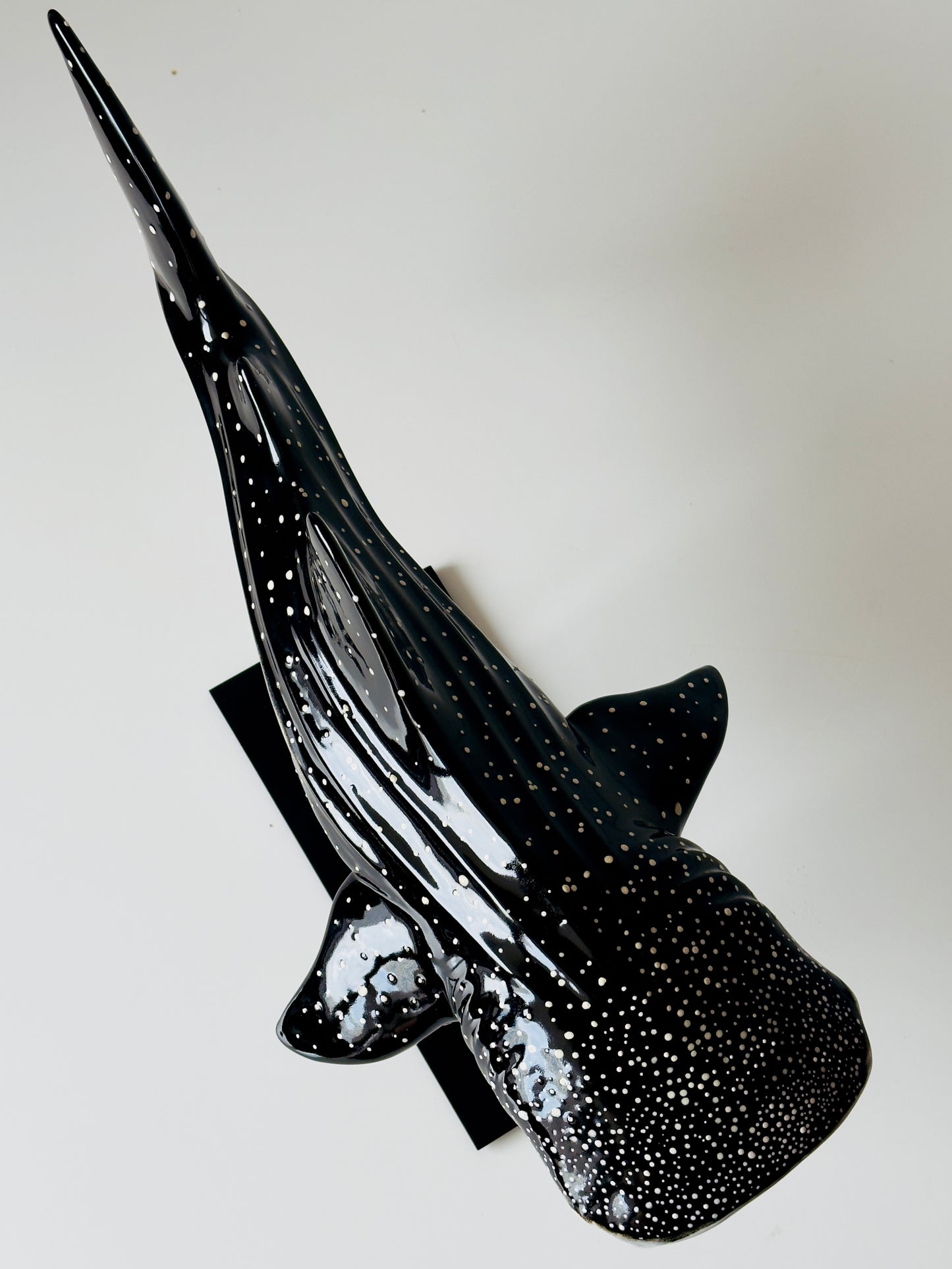 Whale Shark on a metal stand