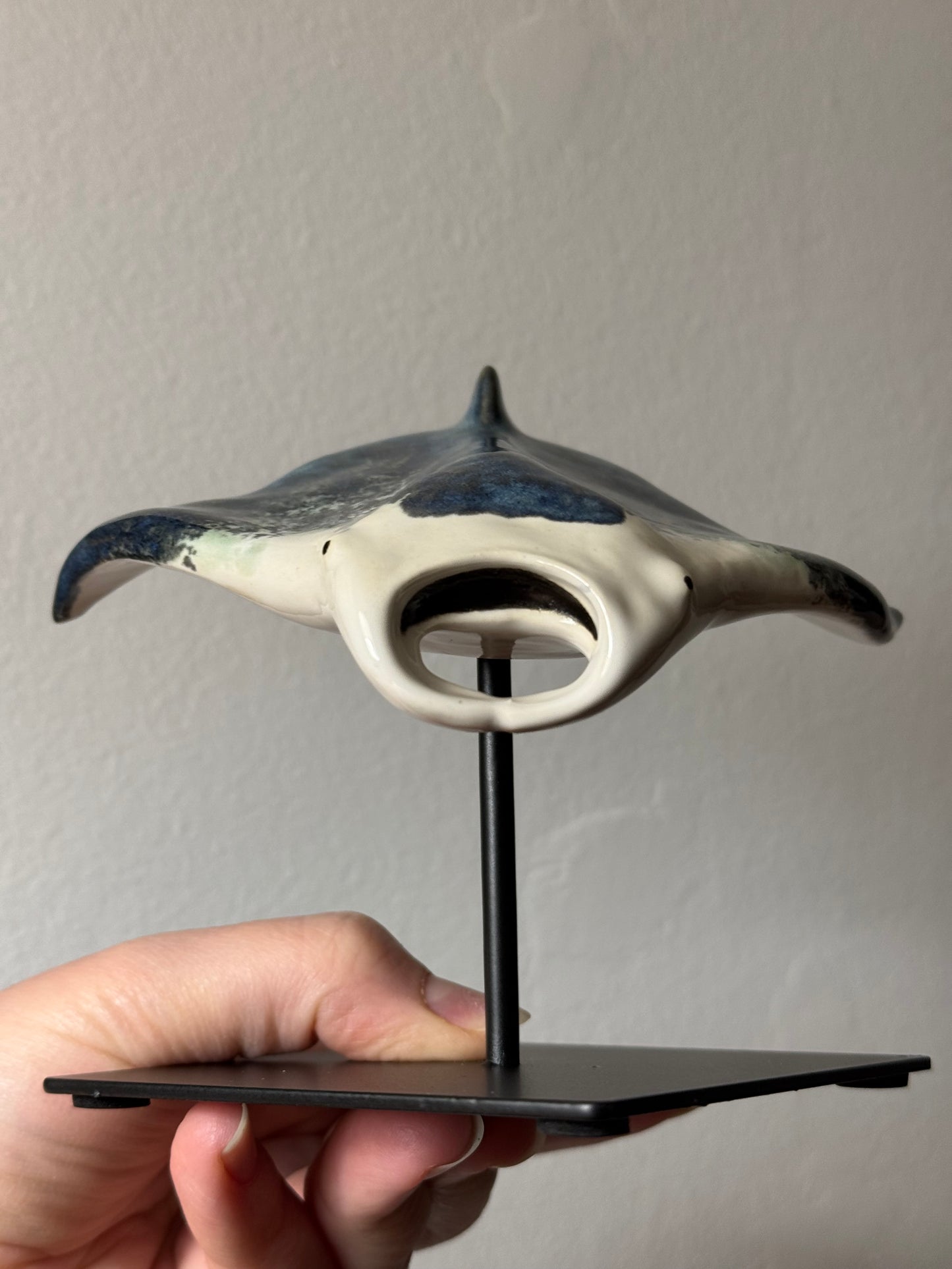 Manta Ray on a stand