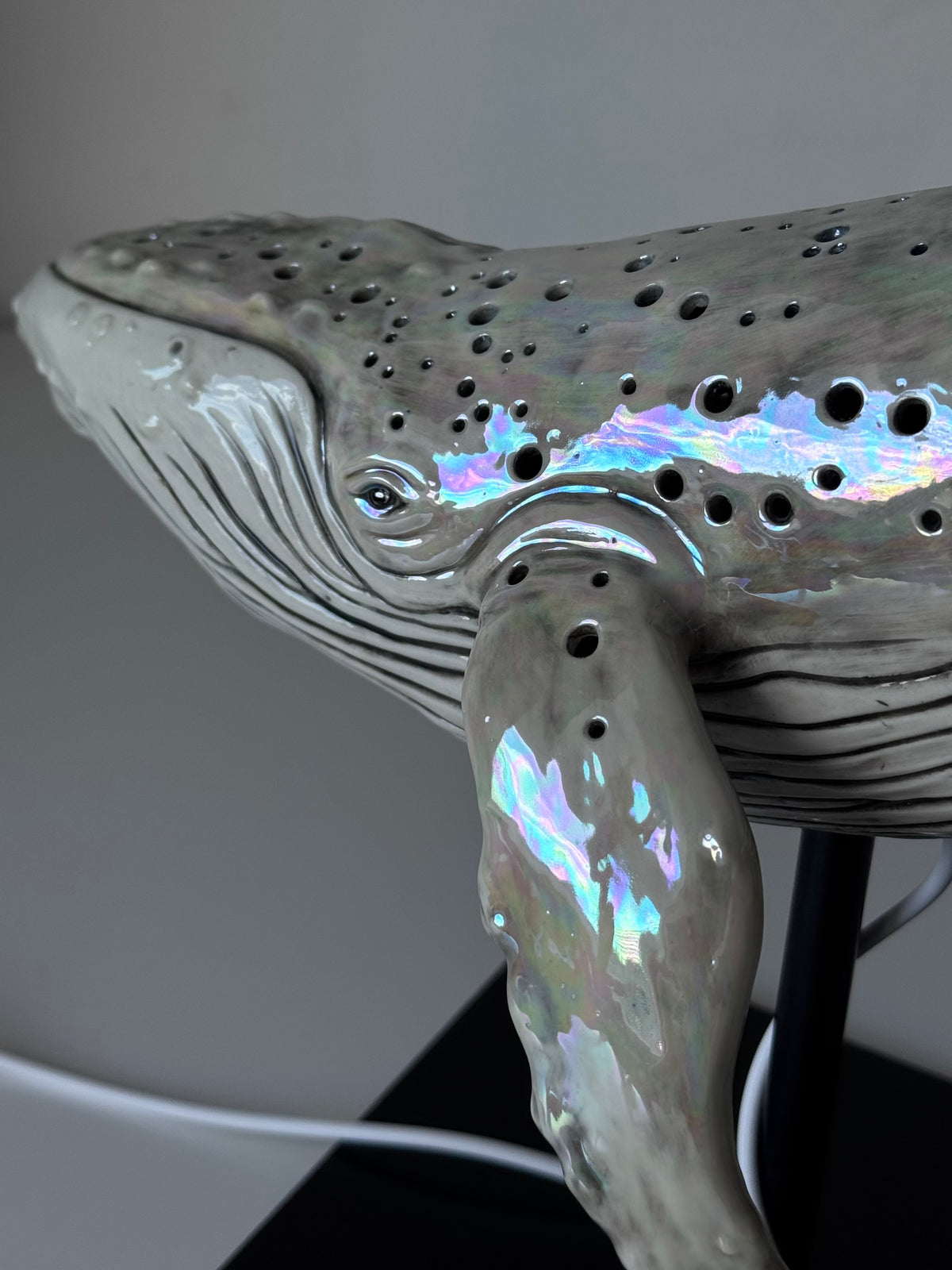 Whale Lamp