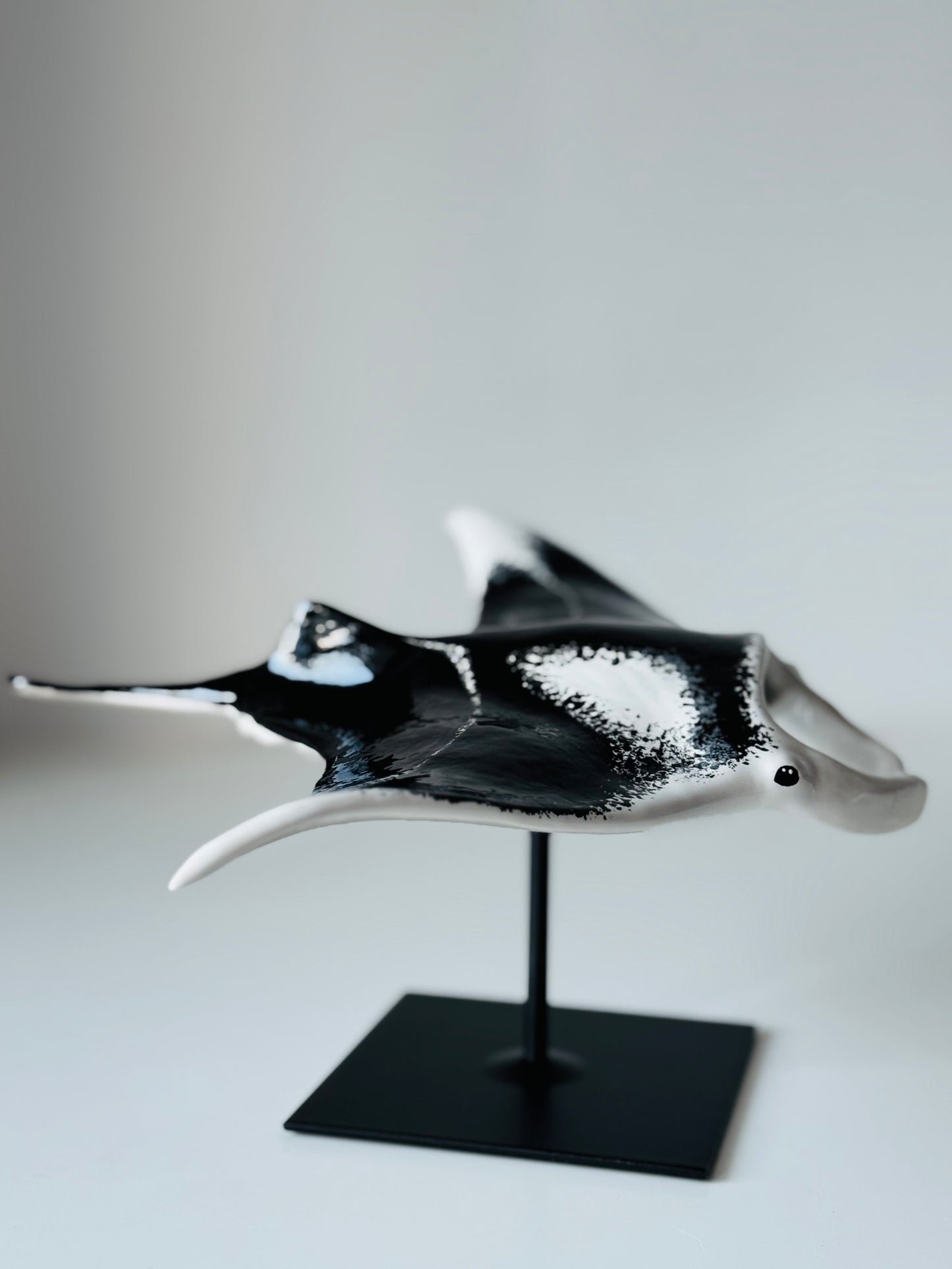 Big Manta Ray