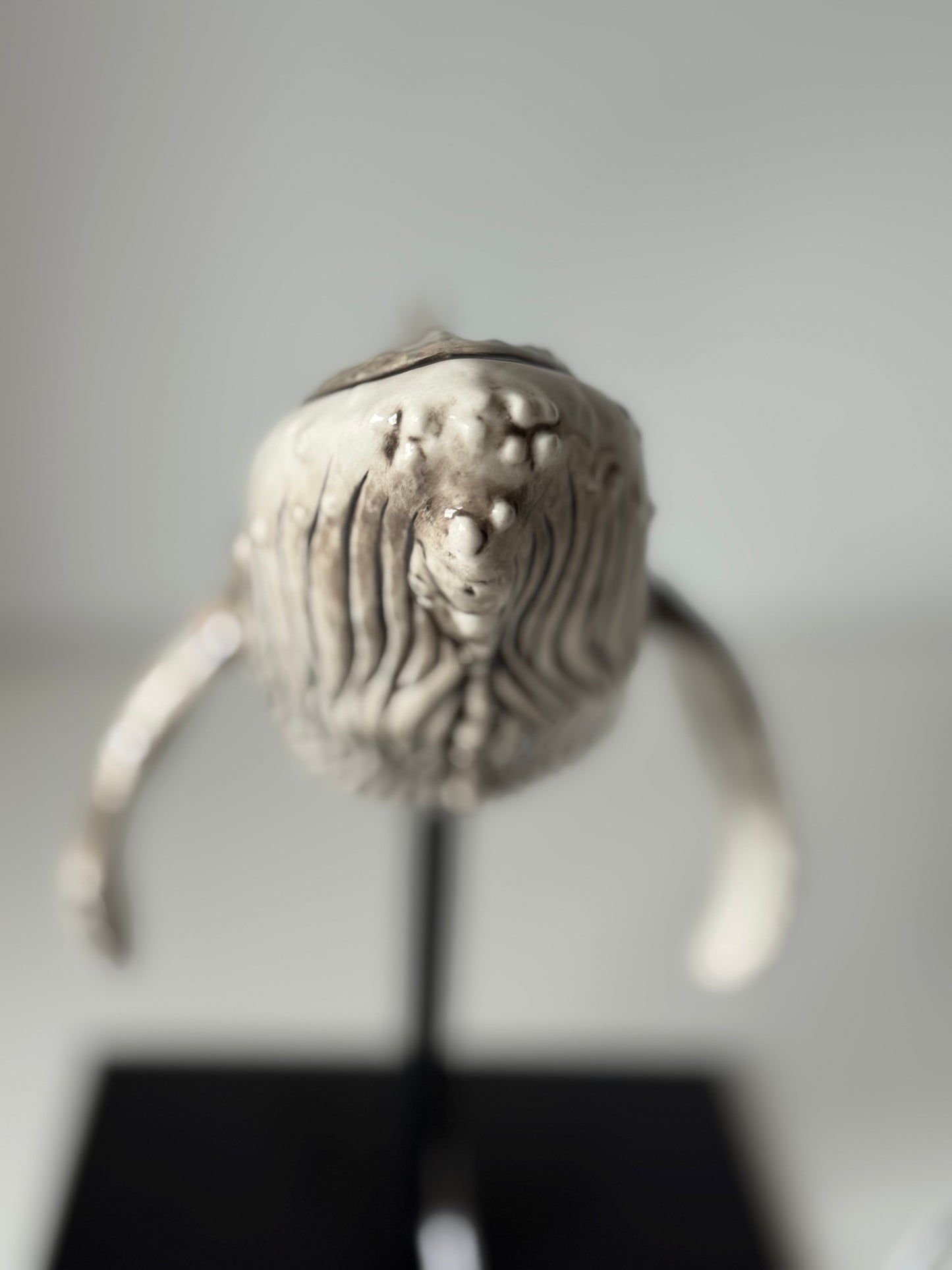 Whale Lamp