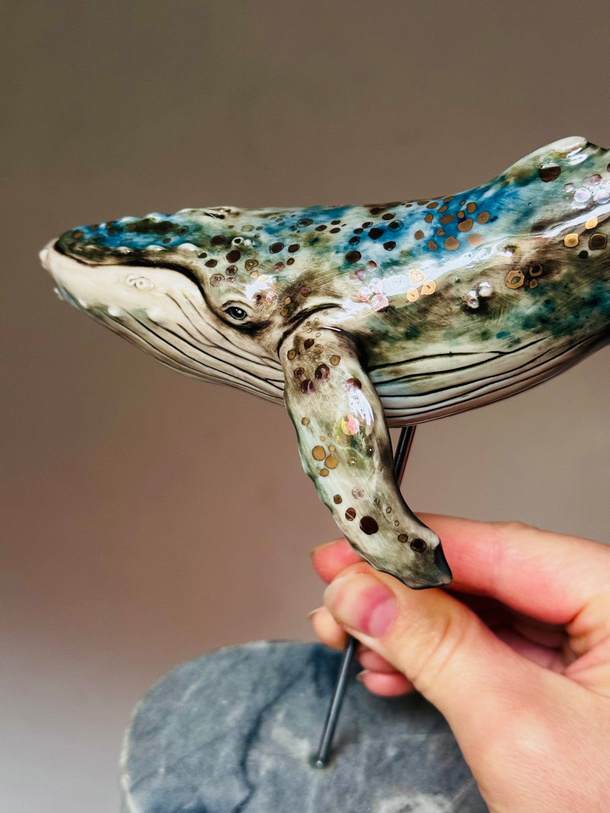 Baby Humpback Whale