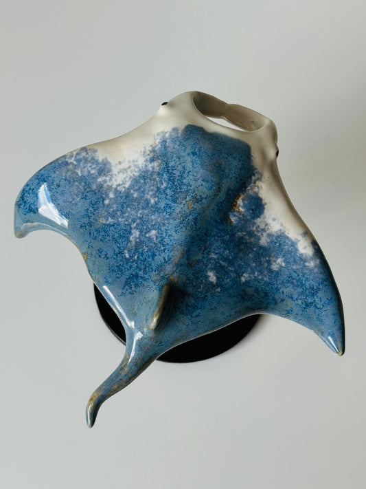 Manta Ray on a stand