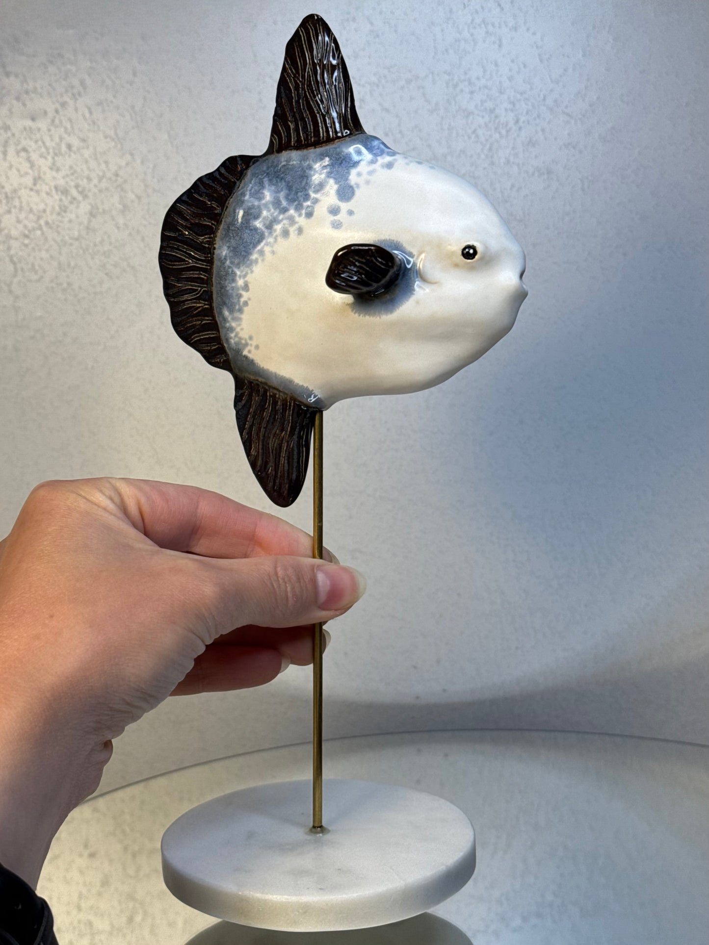 Mola Mola