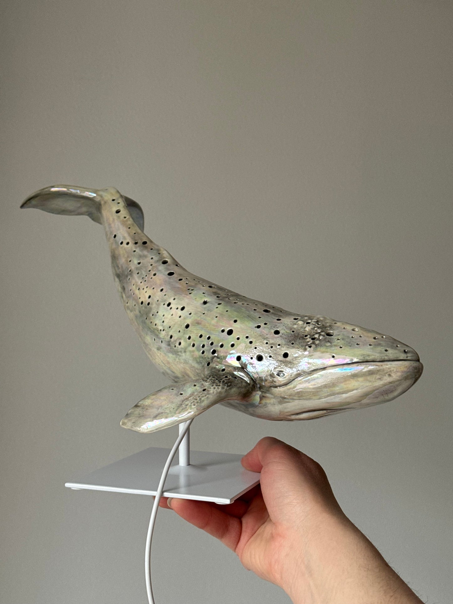 Gray whale lamp