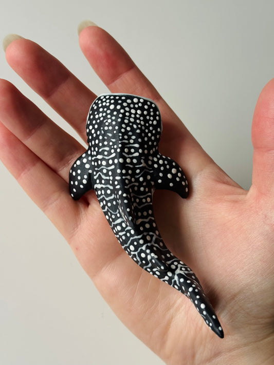Baby Whale Shark