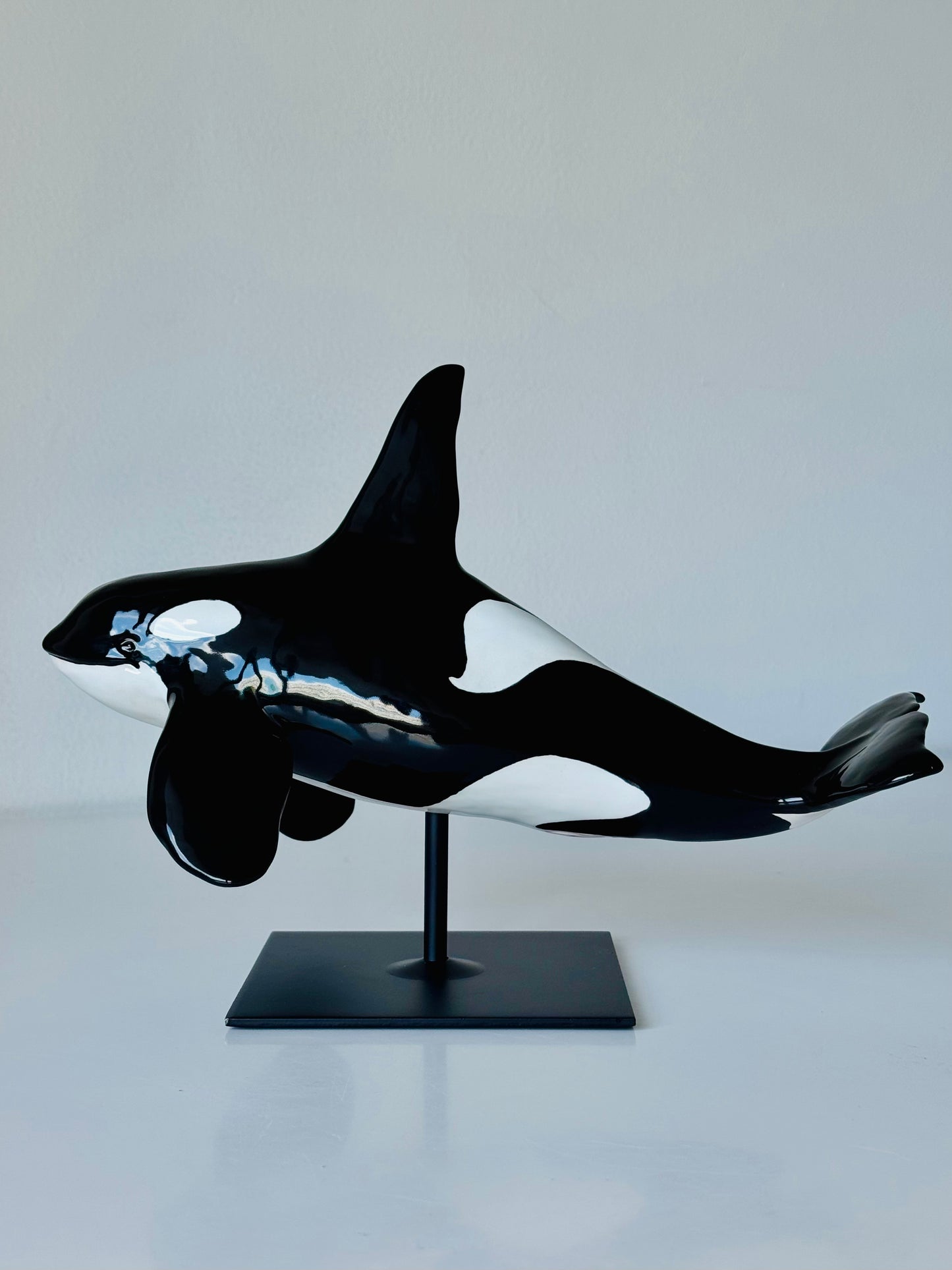Male Orca on a stand