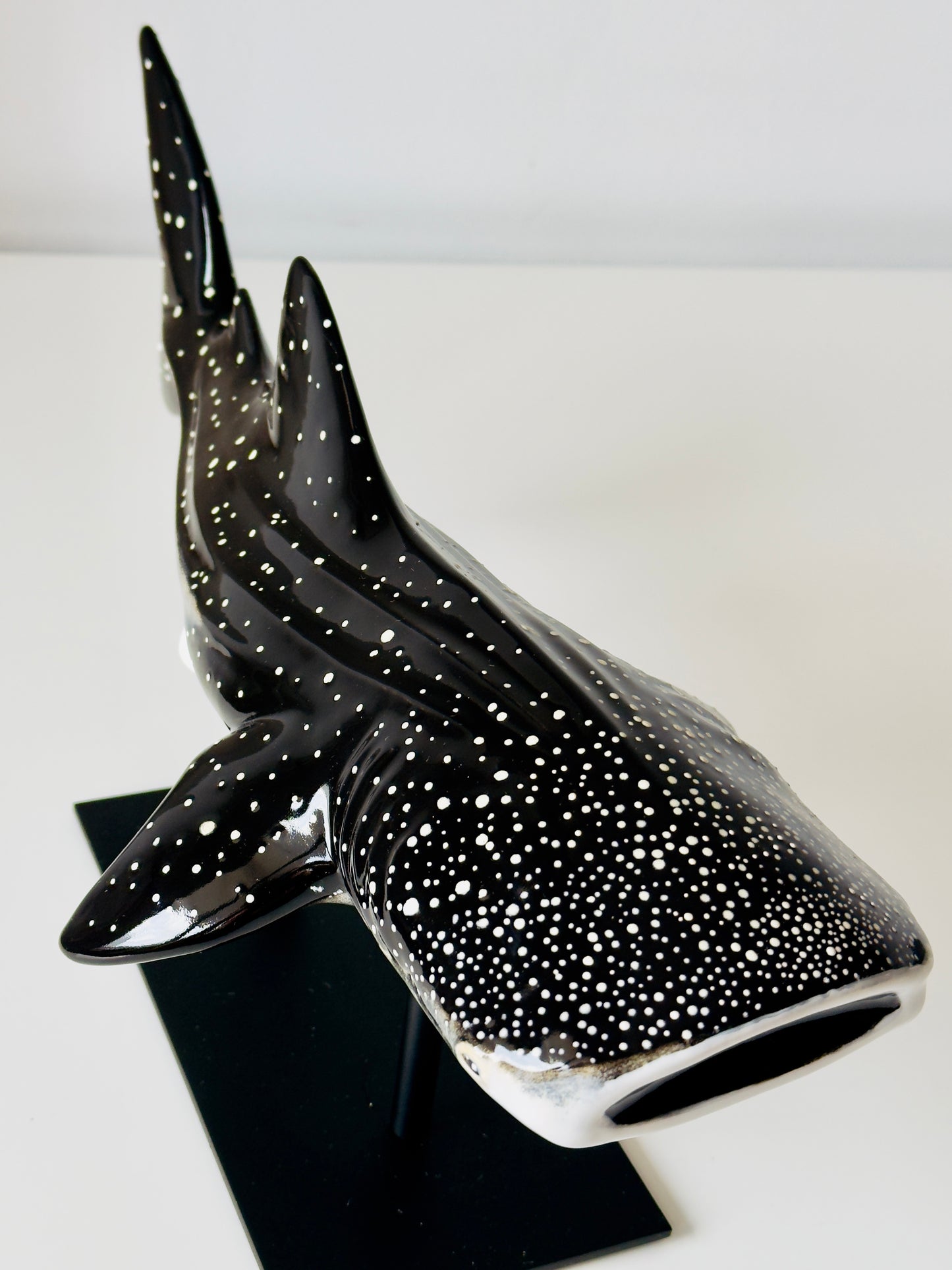 Whale Shark on a metal stand