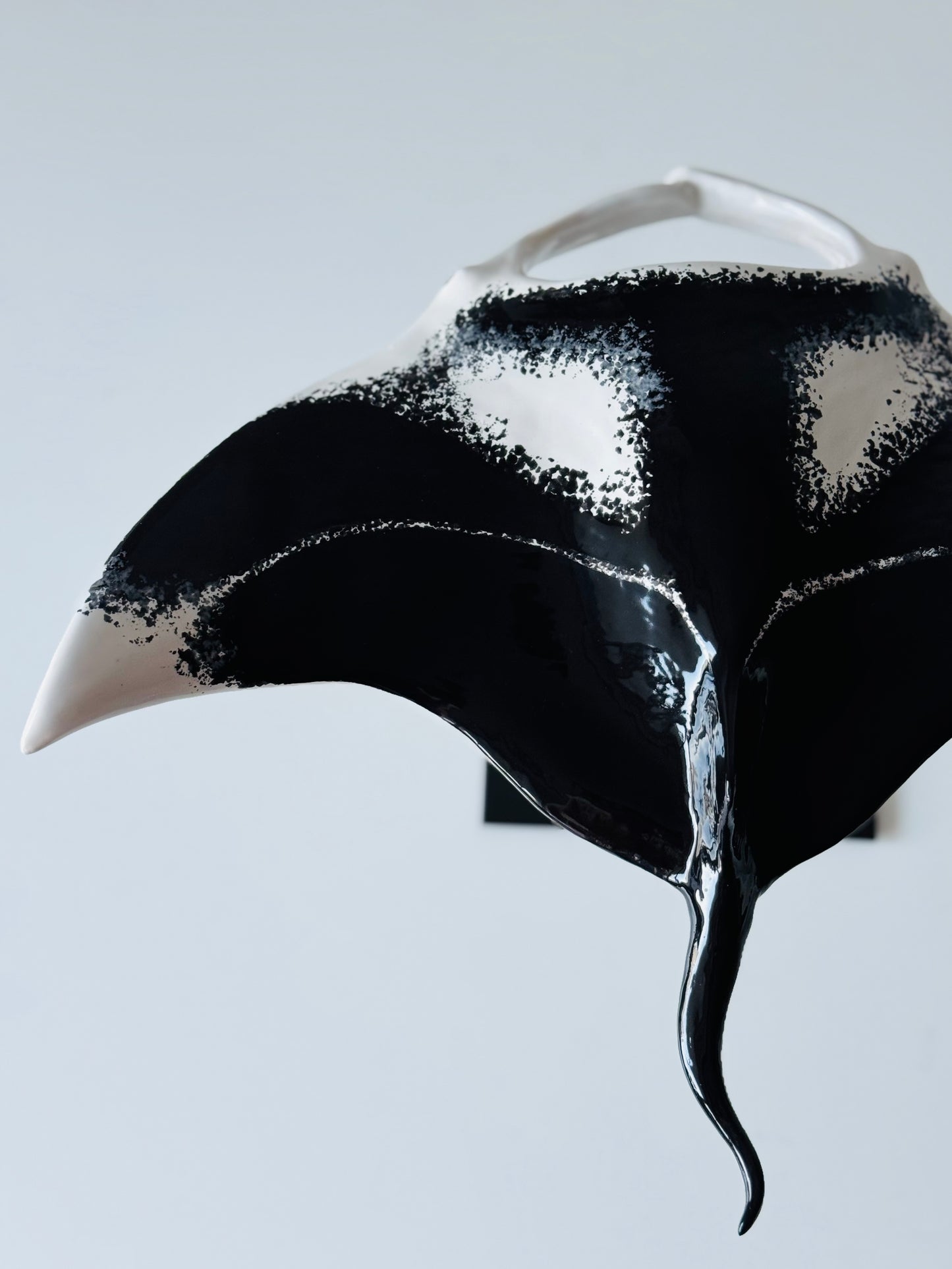 Big Manta Ray