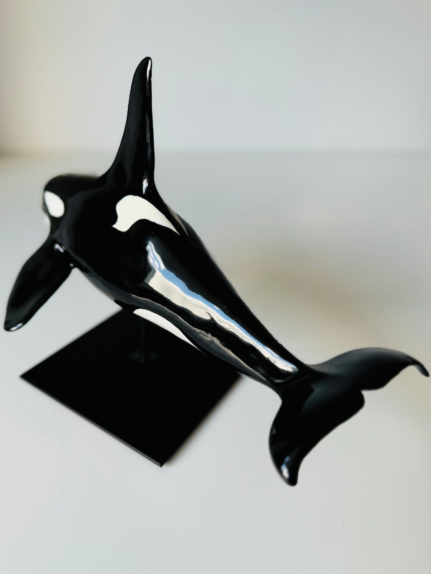 Male Orca on a stand