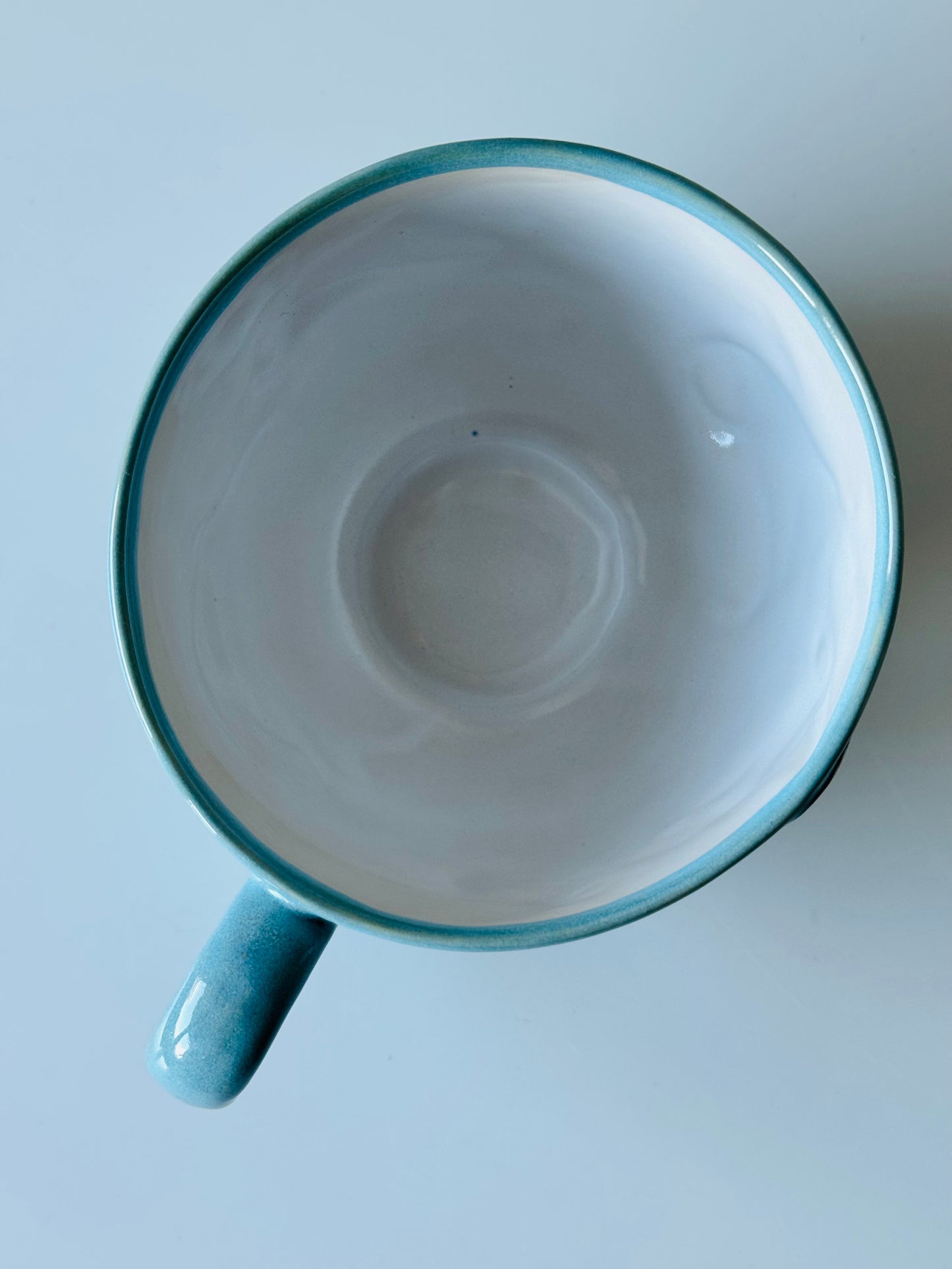 Flying Mantas Mug