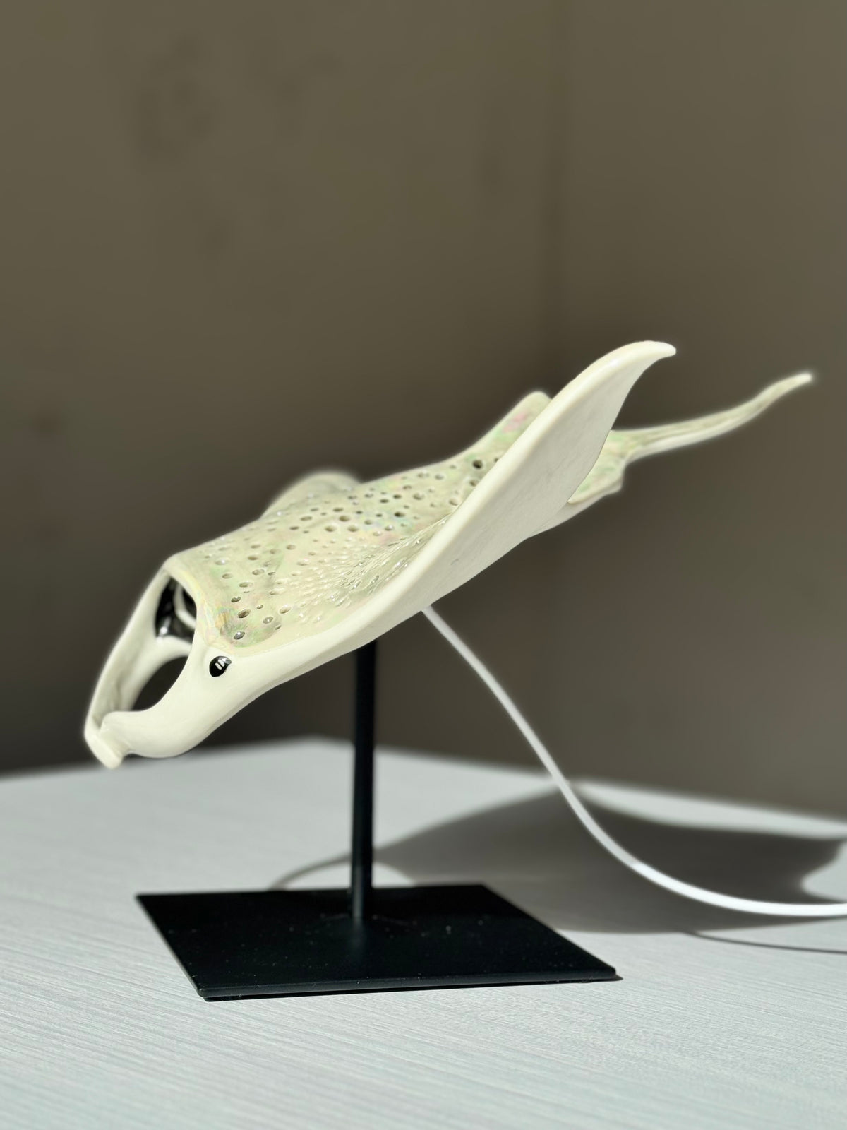Big Manta Ray