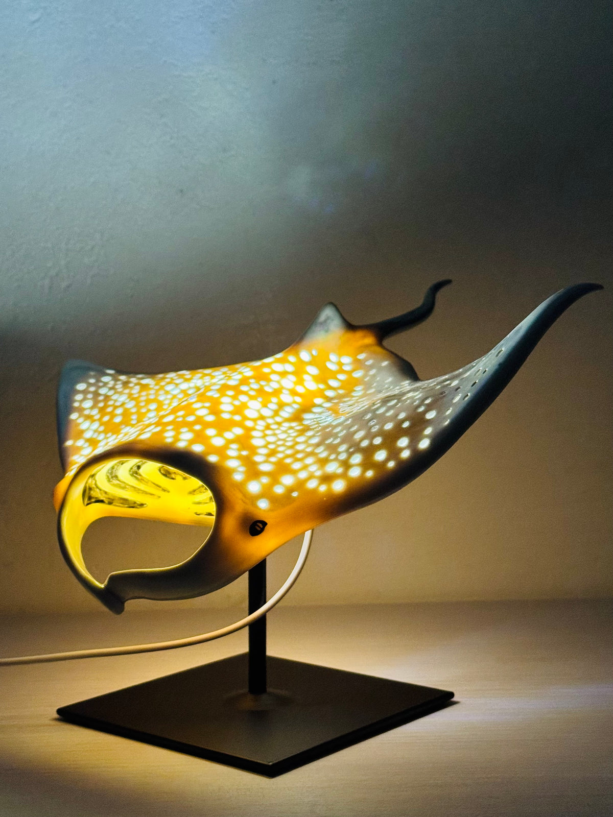 Big Manta Ray