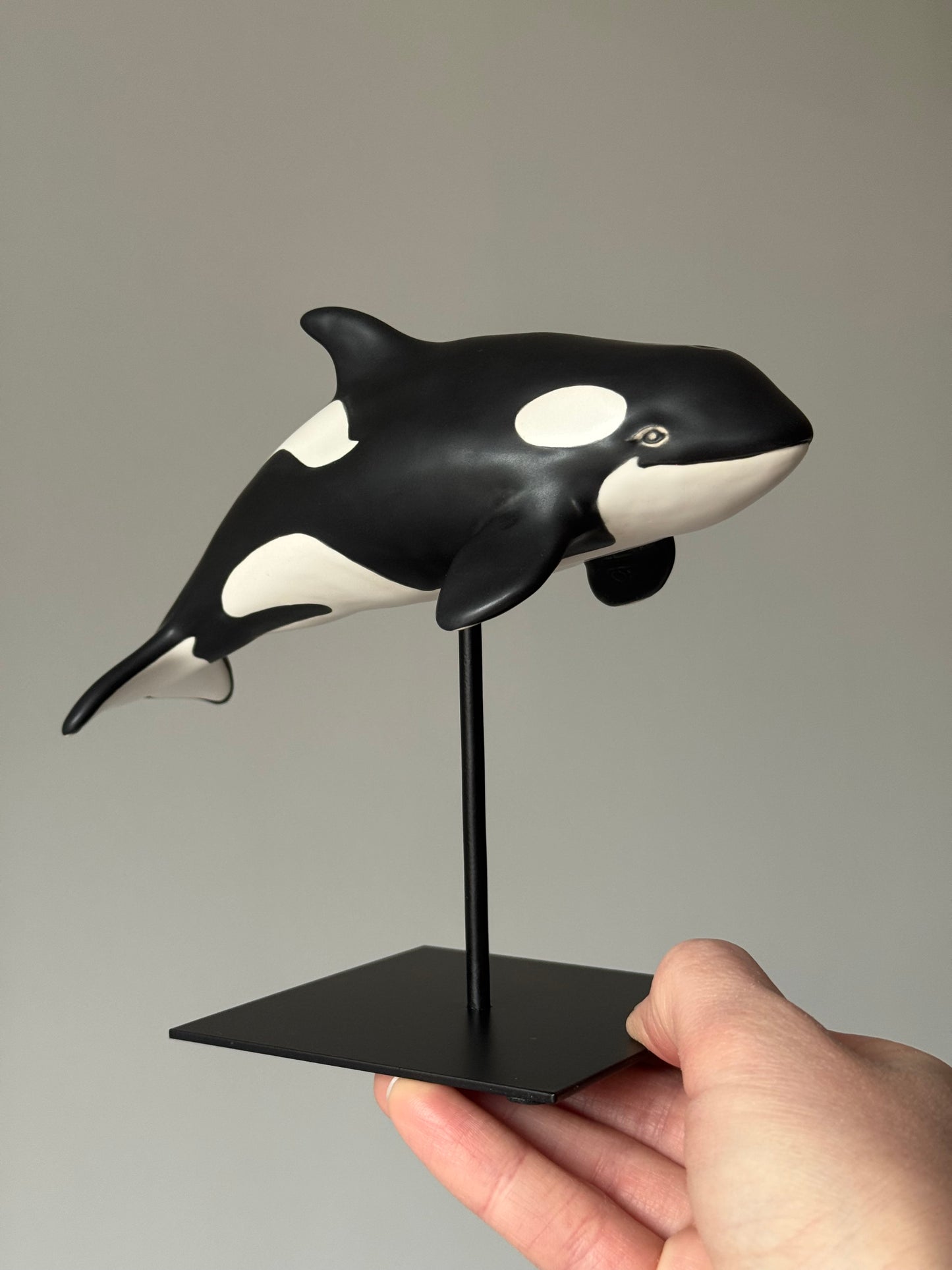 Baby Orca