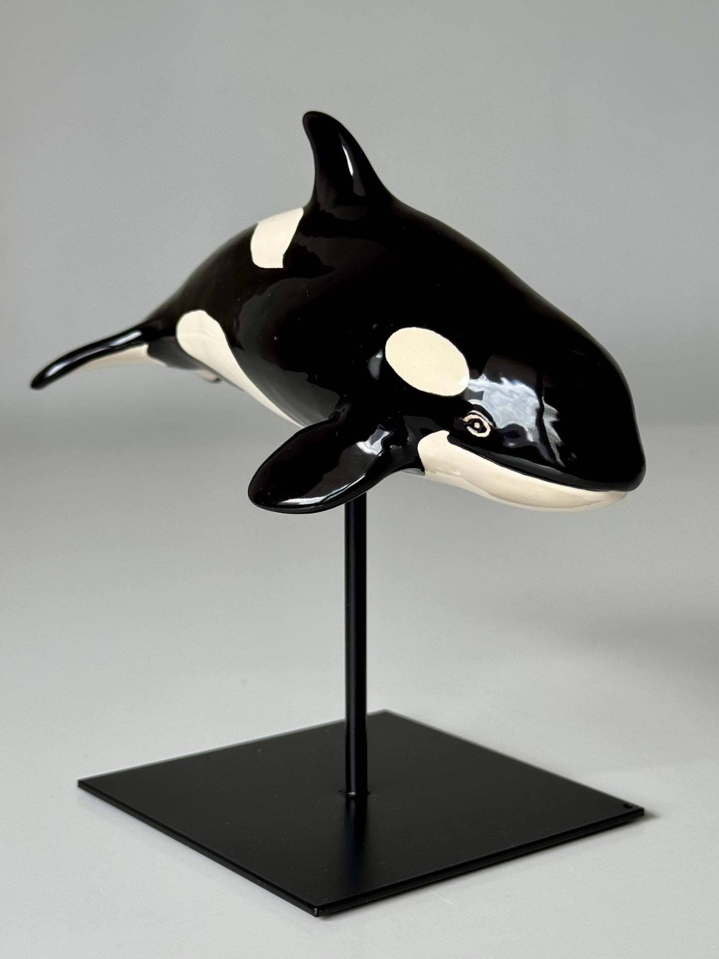Baby Orca