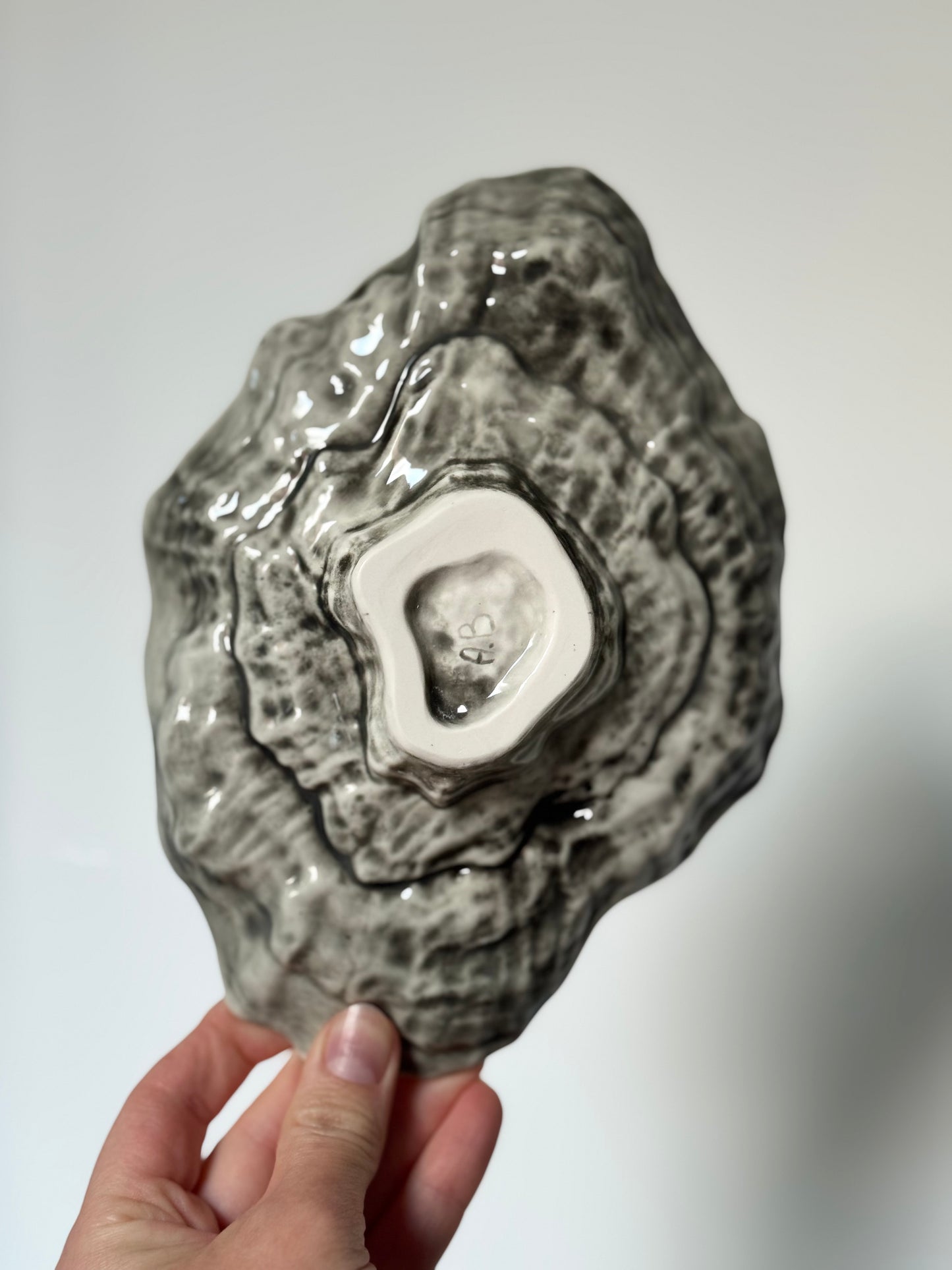 Shell-shaped plate