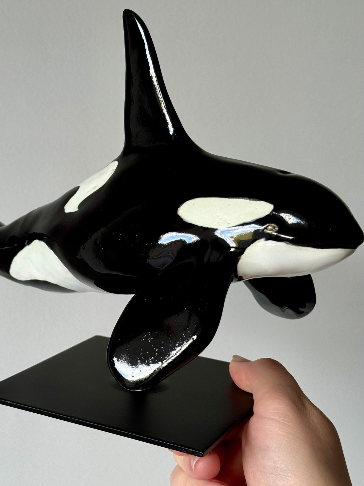 Male Orca on a stand