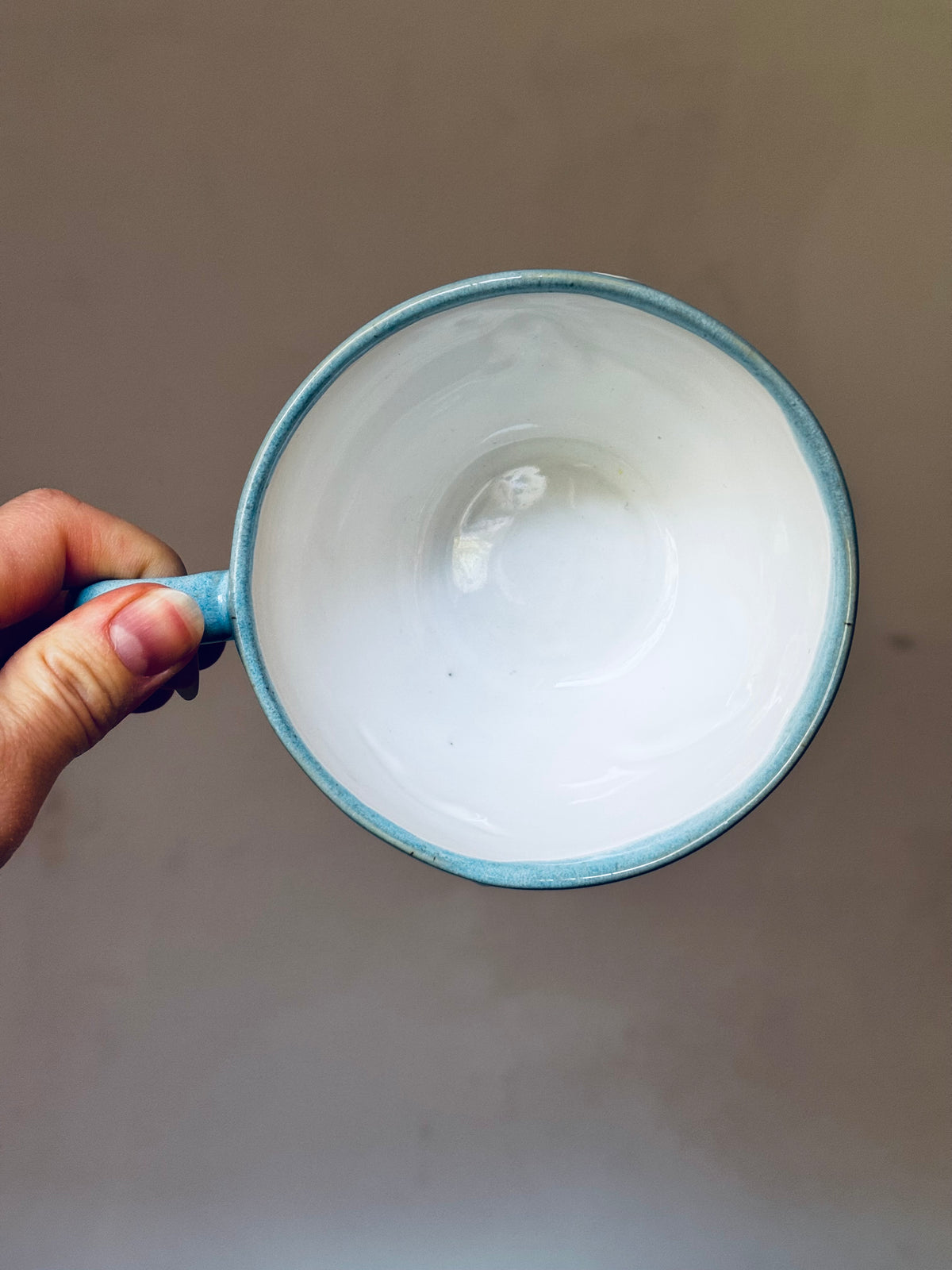 Sea Turtle Cup