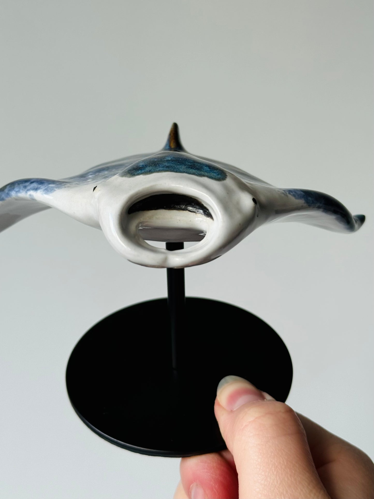 Manta Ray on a stand