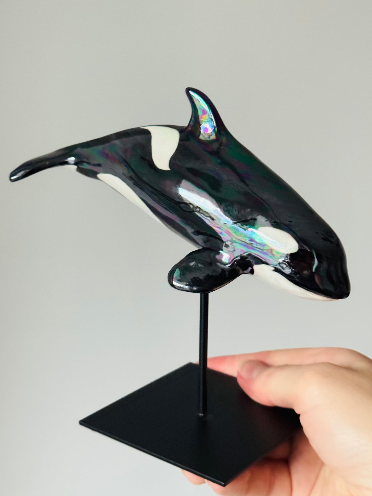 Baby Orca